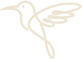 Outline of a hummingbird in flight