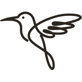 Line drawing of a hummingbird flying with its wings outstretched.