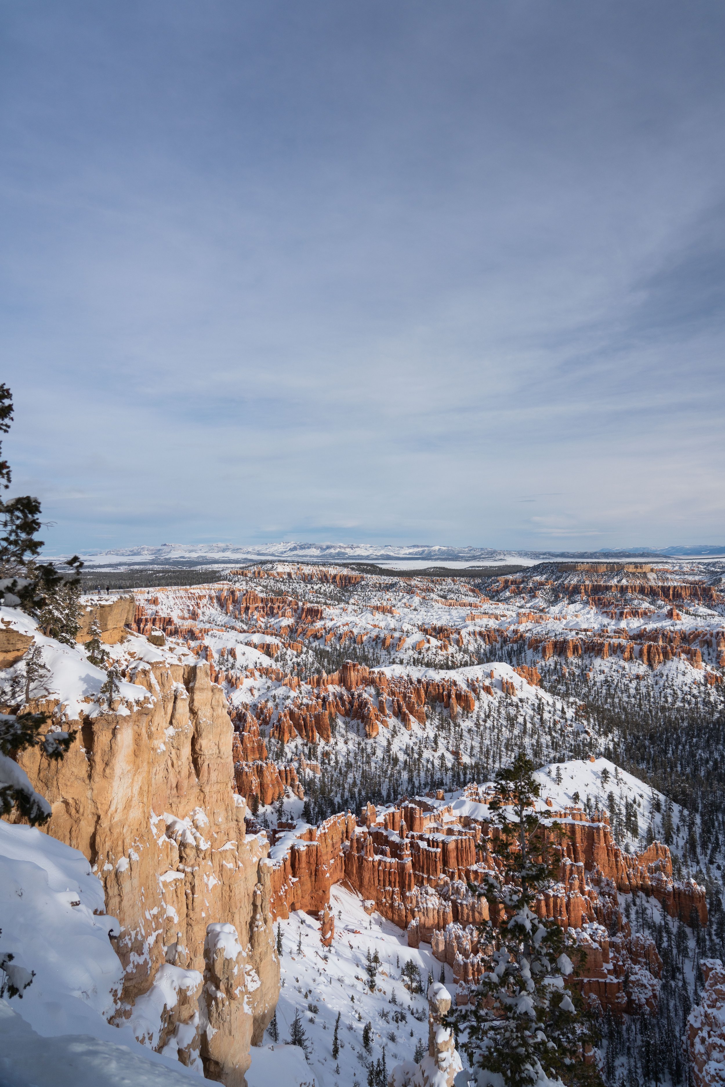 230112_BasilsGarage_Mojave,Utah-16.jpg