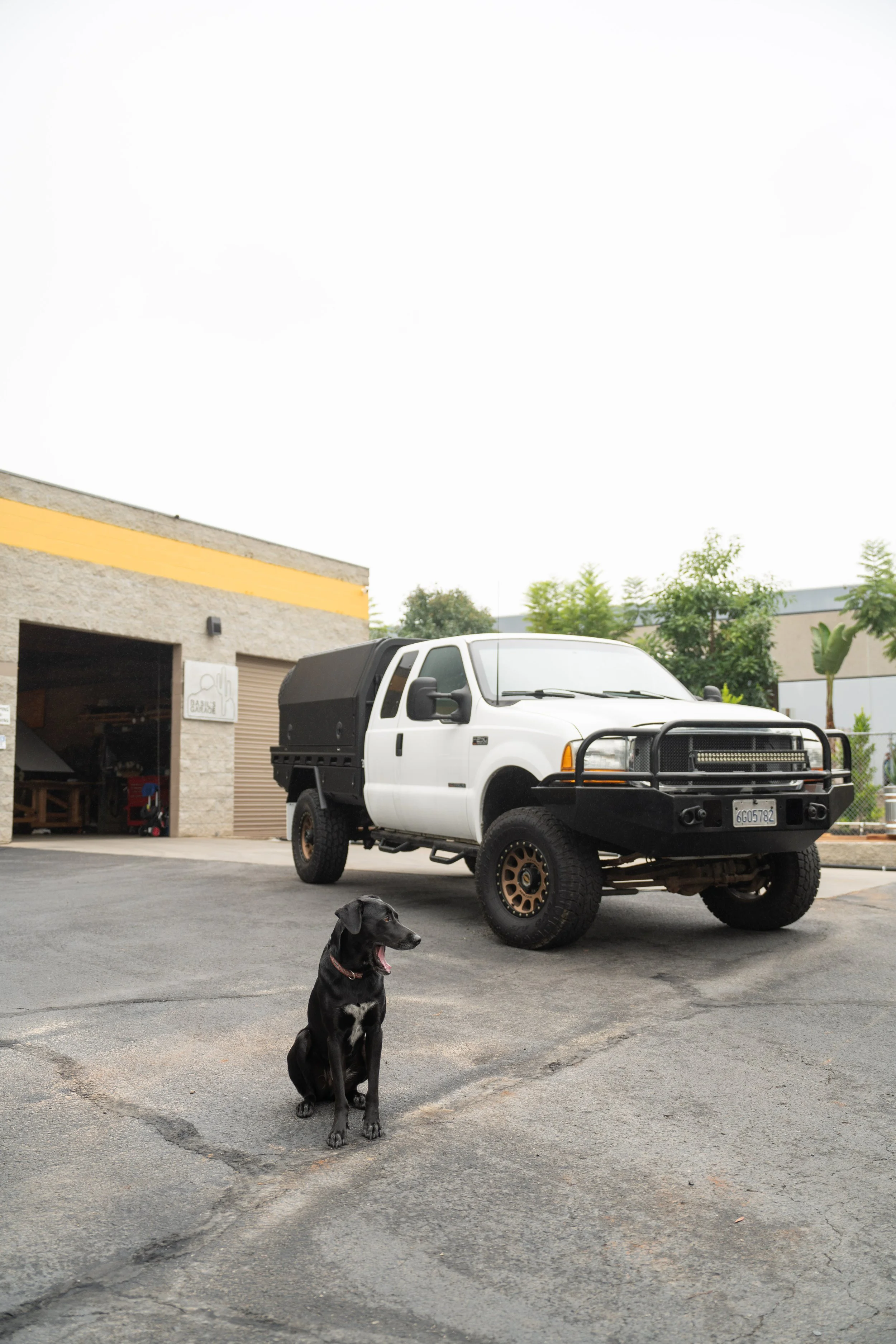 230915_BasilsGarage_seventhreeMITS-5.jpg