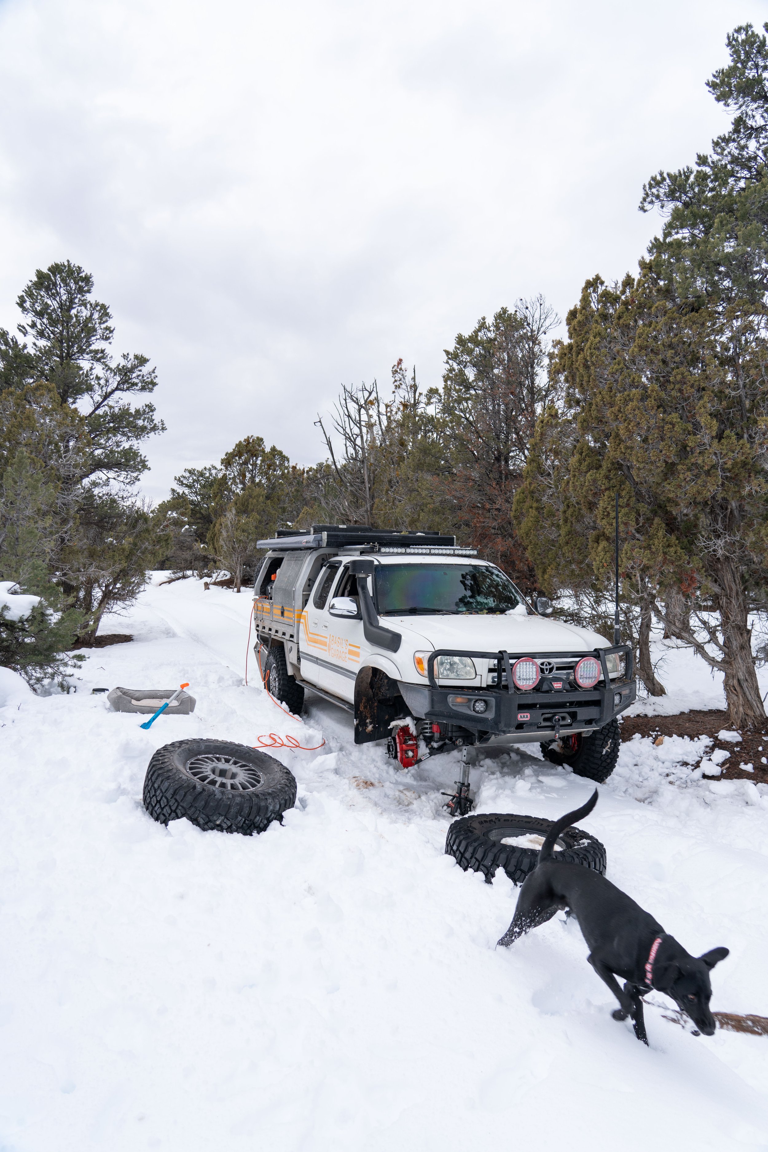 230112_BasilsGarage_Mojave,Utah-19.jpg