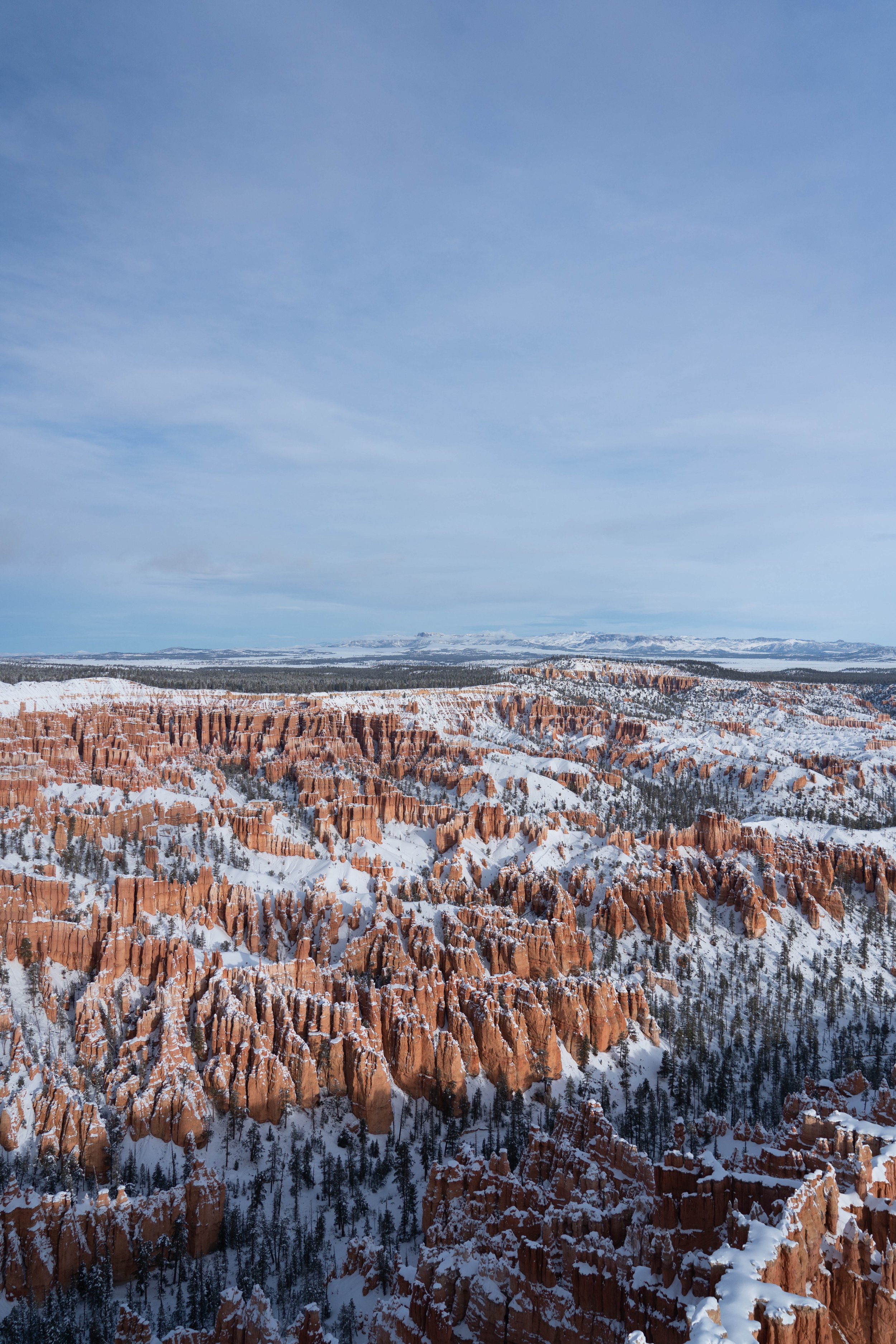 230112_BasilsGarage_Mojave,Utah-17.jpg