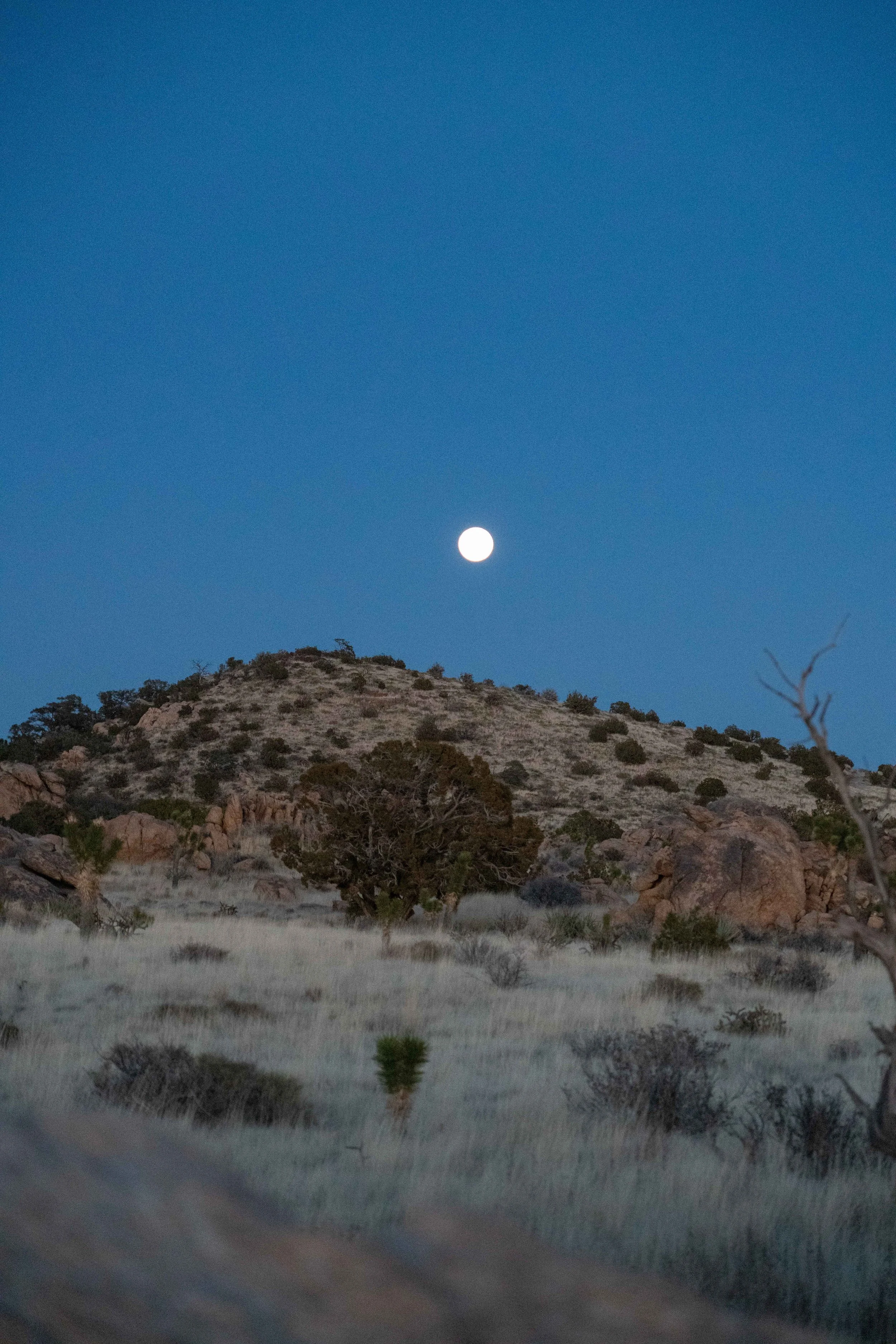 230112_BasilsGarage_Mojave,Utah-13.jpg