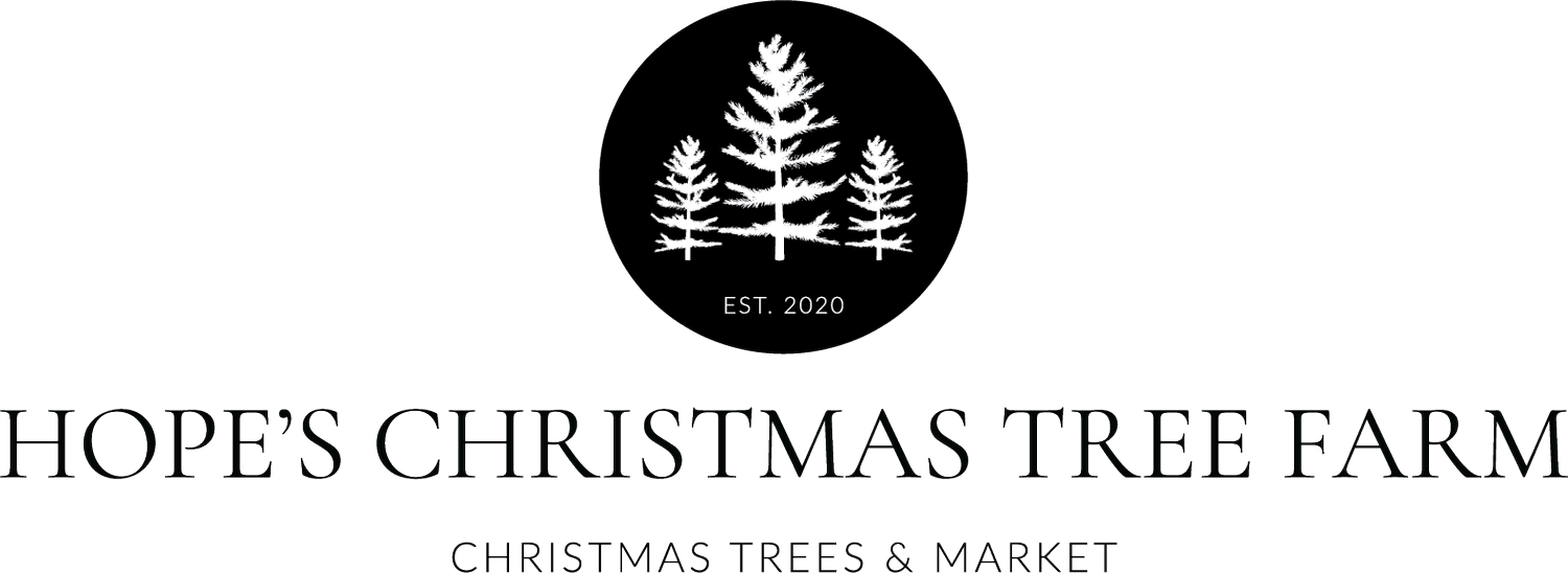 Hope's Christmas Tree Farm Christmas Trees & Market
