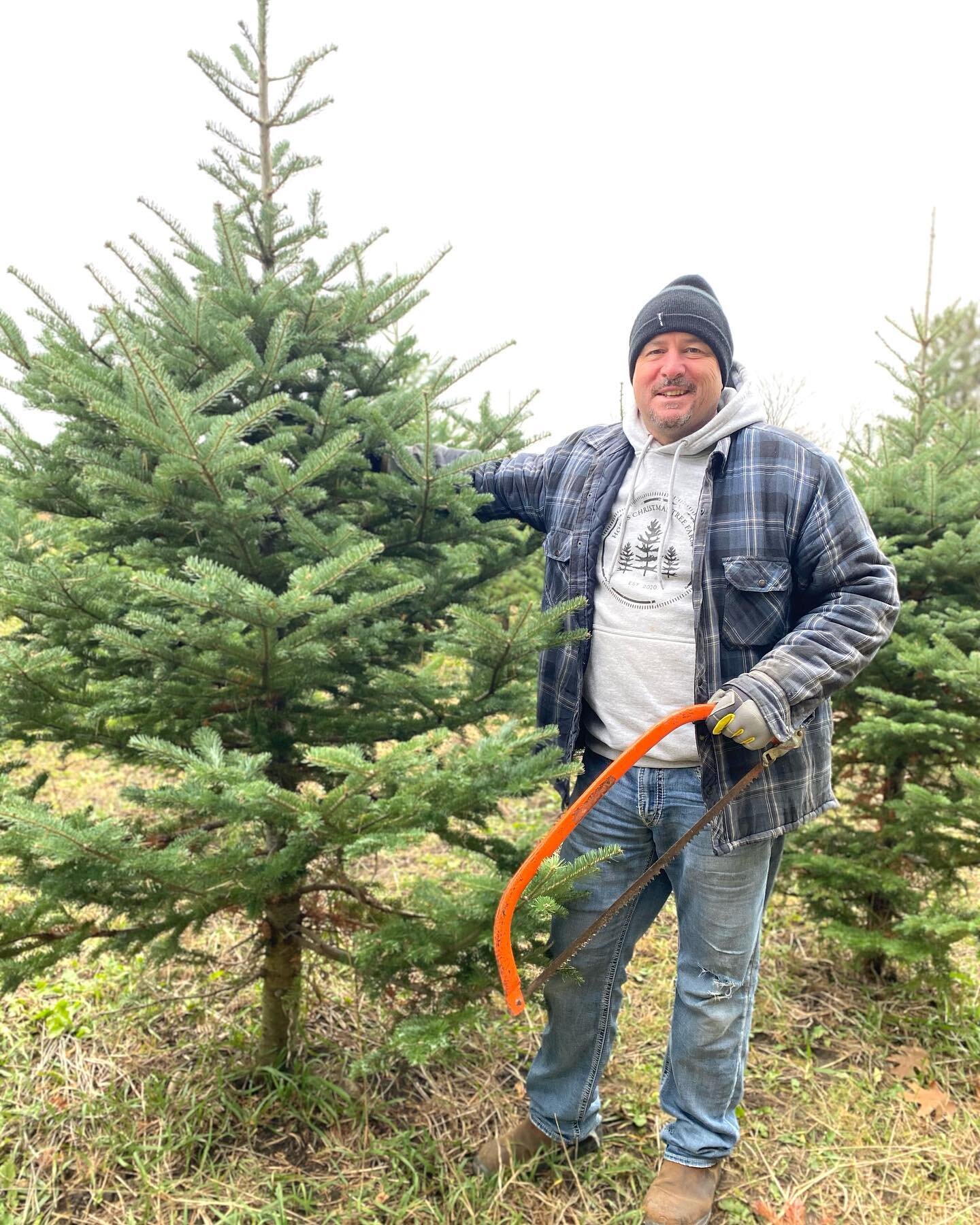 It&rsquo;s YES DAY!!

YES: Our field opens this Saturday November 26th for cutting. 9am-5pm
YES: we have Balsam and Fraser fir to cut over 8&rsquo; in the field. 
YES: we have fresh pre cut trees 
YES: there is still a tree shortage. The affects of t