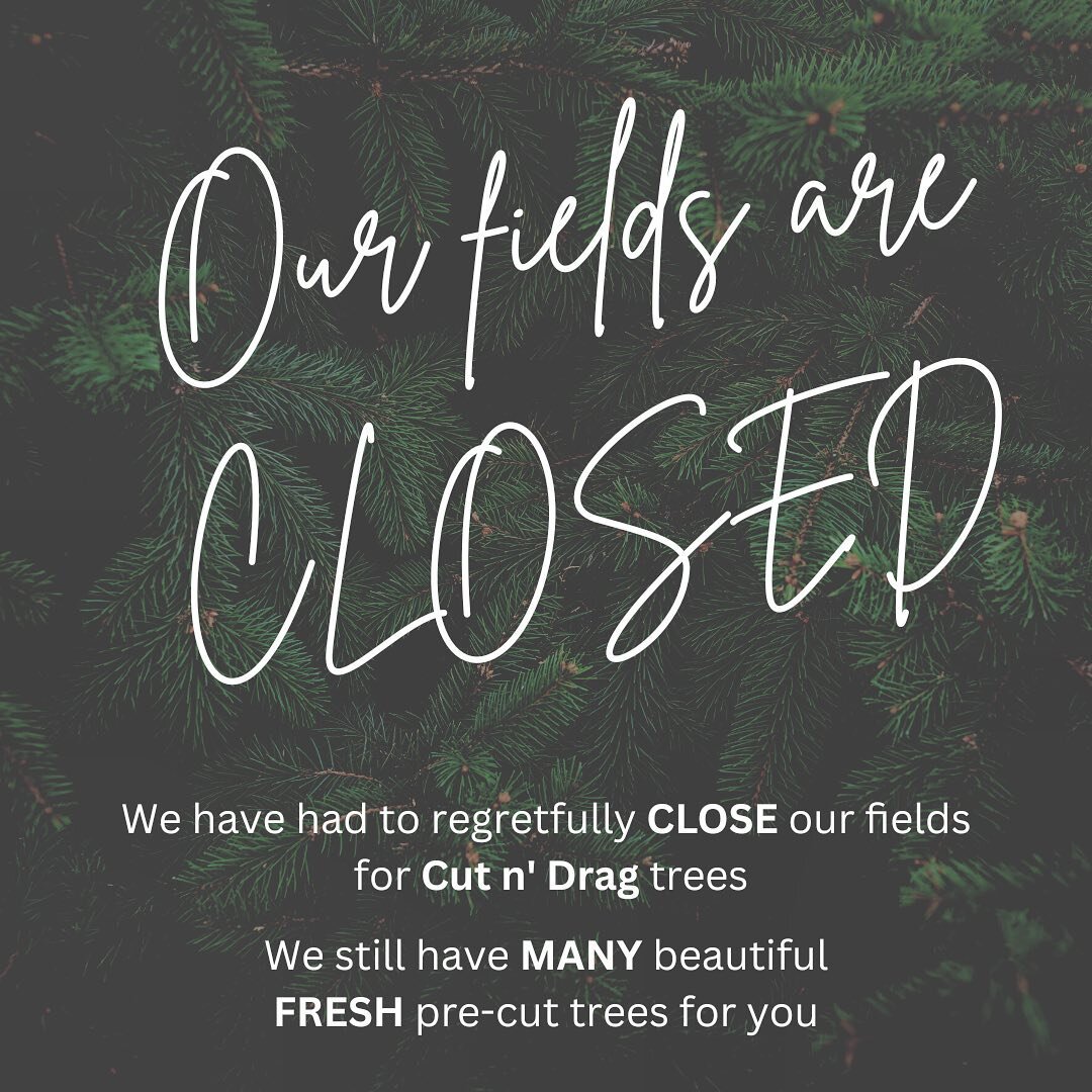 🎄🎄IMPORTANT NOTICE! 🎄🎄
Thank you for all of your amazing support of our little farm!

In order to ensure sustainability, we regretfully must close the field for cutting for the 2022 season. 

📌GOOD NEWS!
We have lots of beautiful and fresh pre-c