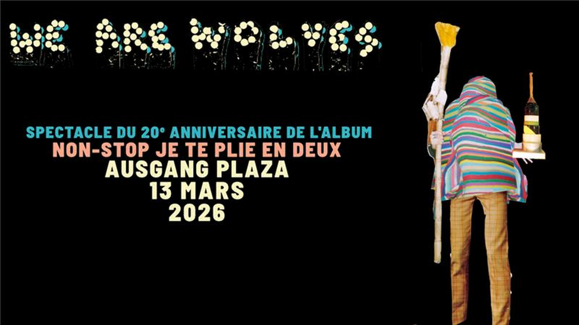 SIMONE RECORDS presents We Are Wolves – 20 ans d’art punk