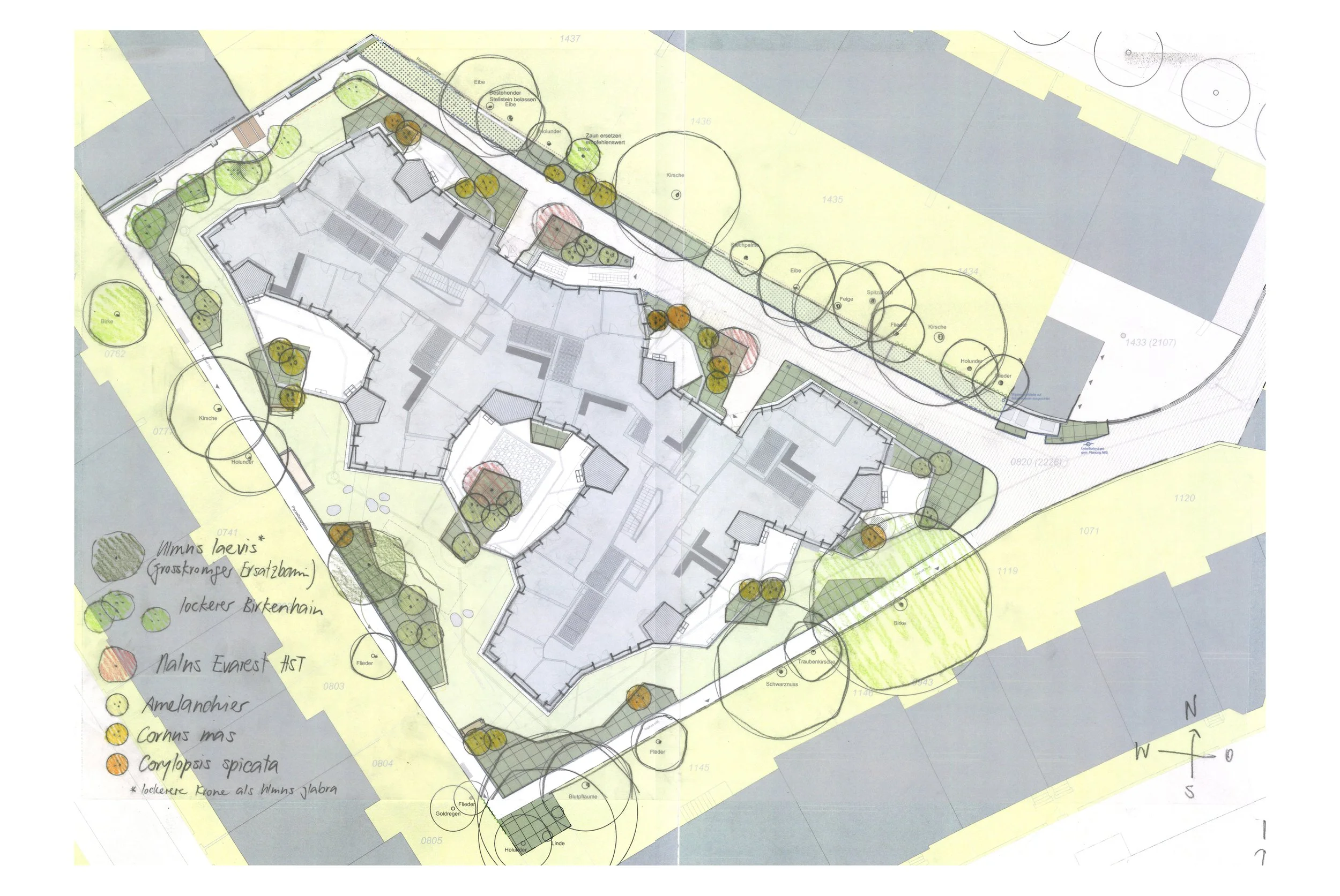 1322_Riehenring_©August und Margrith Künzel Landschaftsarchitekten_Bild 5_Pflanzplan_Bäume 2020 01-20_k.jpg
