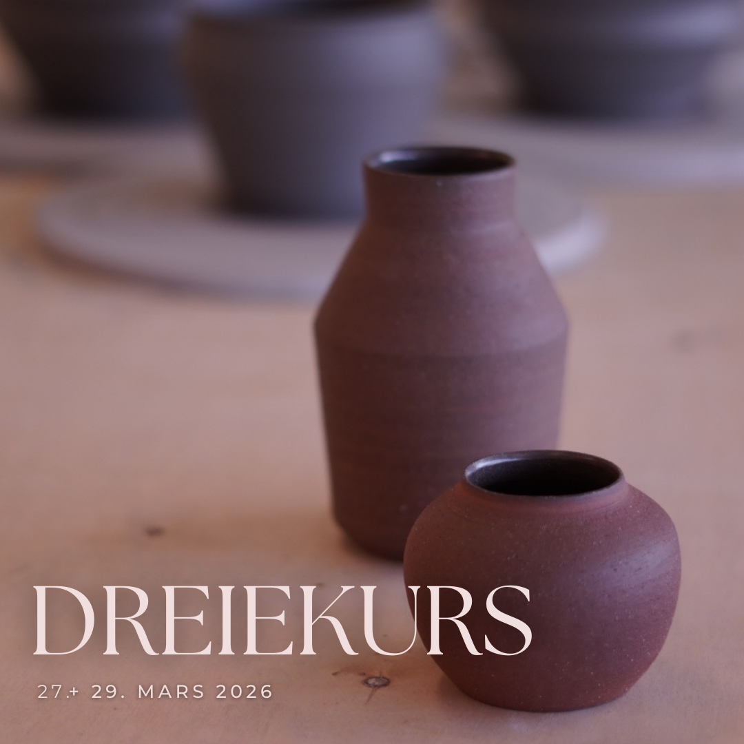 dreiekurs / nybegynner / 27. + 29. mars (DAGTID)