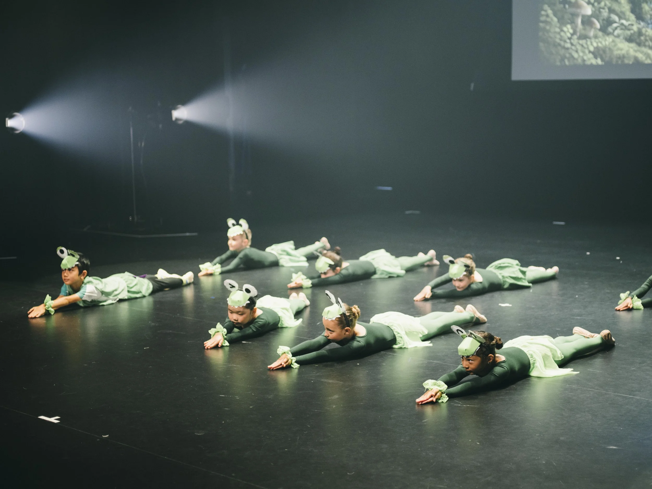 danse-westmount-2026-9326.jpg