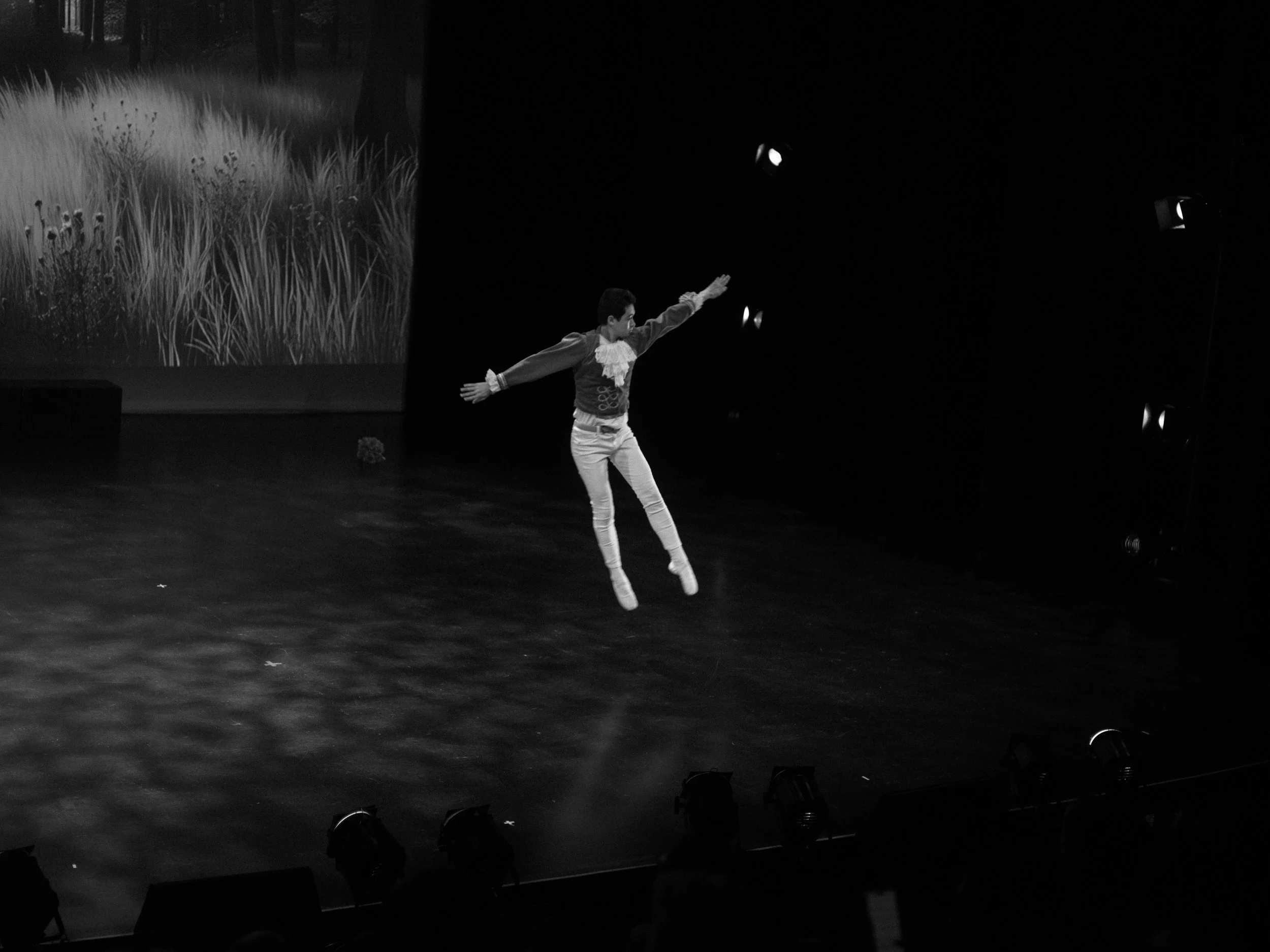 danse-westmount-2025-5086-70.jpg