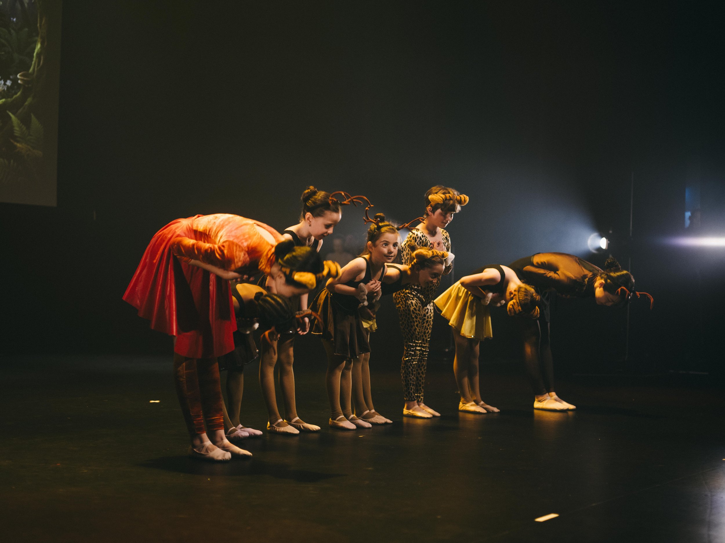 danse-westmount-2026-9069.jpg