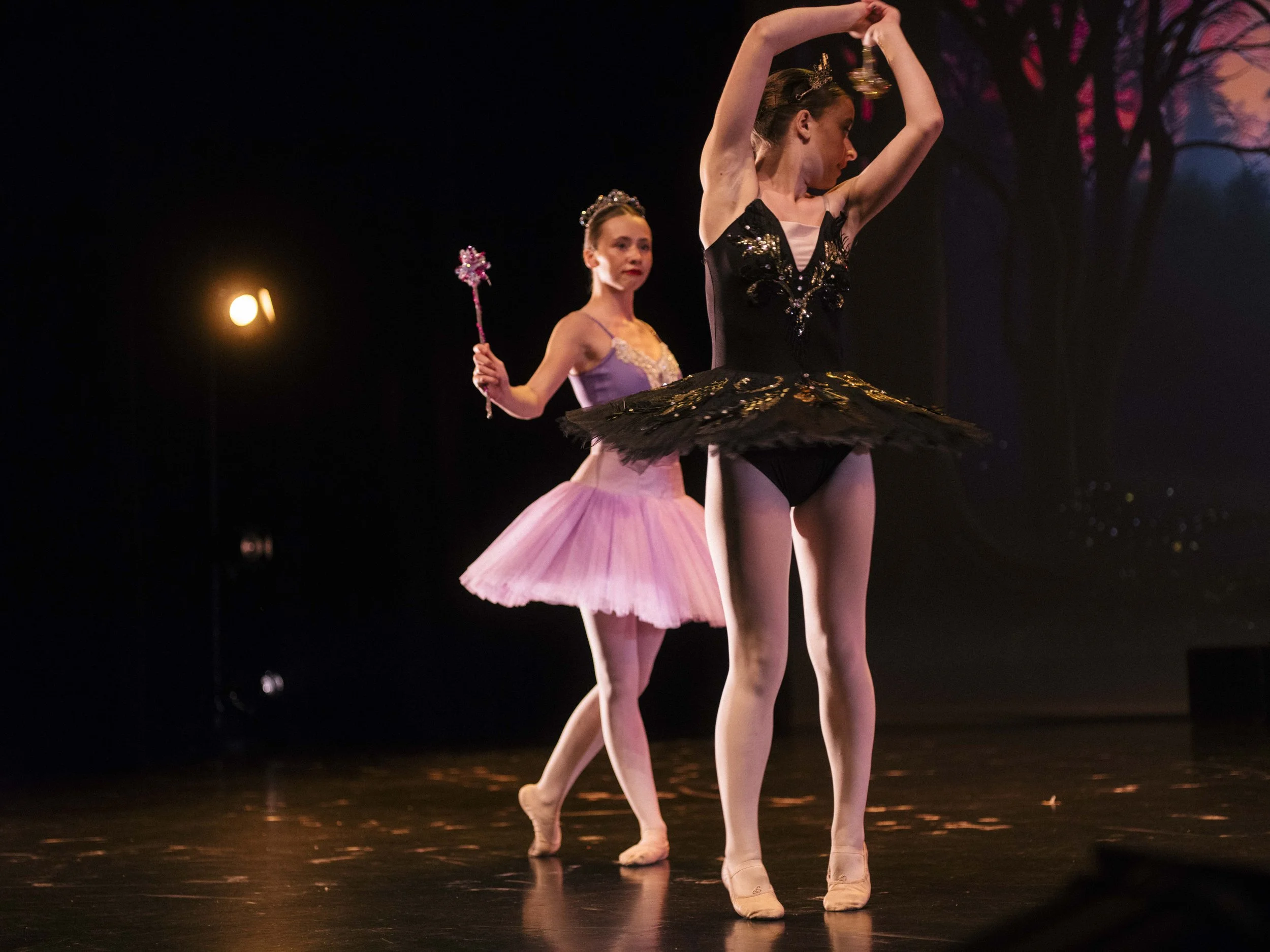 danse-westmount-2025-5528-184.jpg