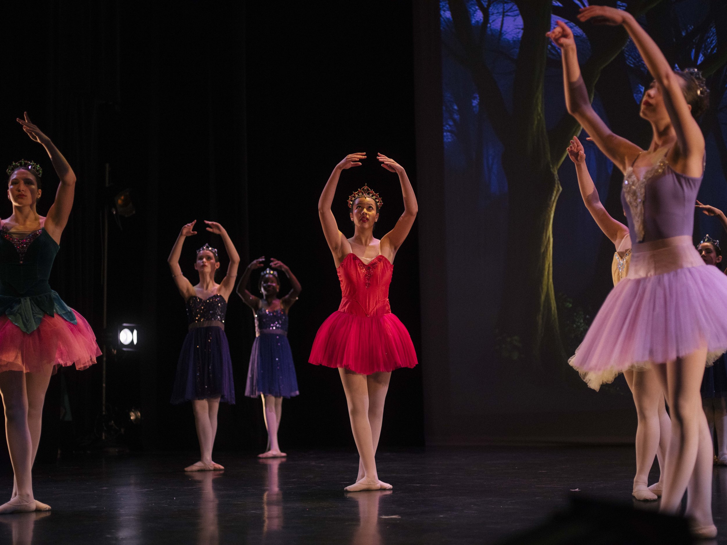 danse-westmount-2025-5478-162.jpg