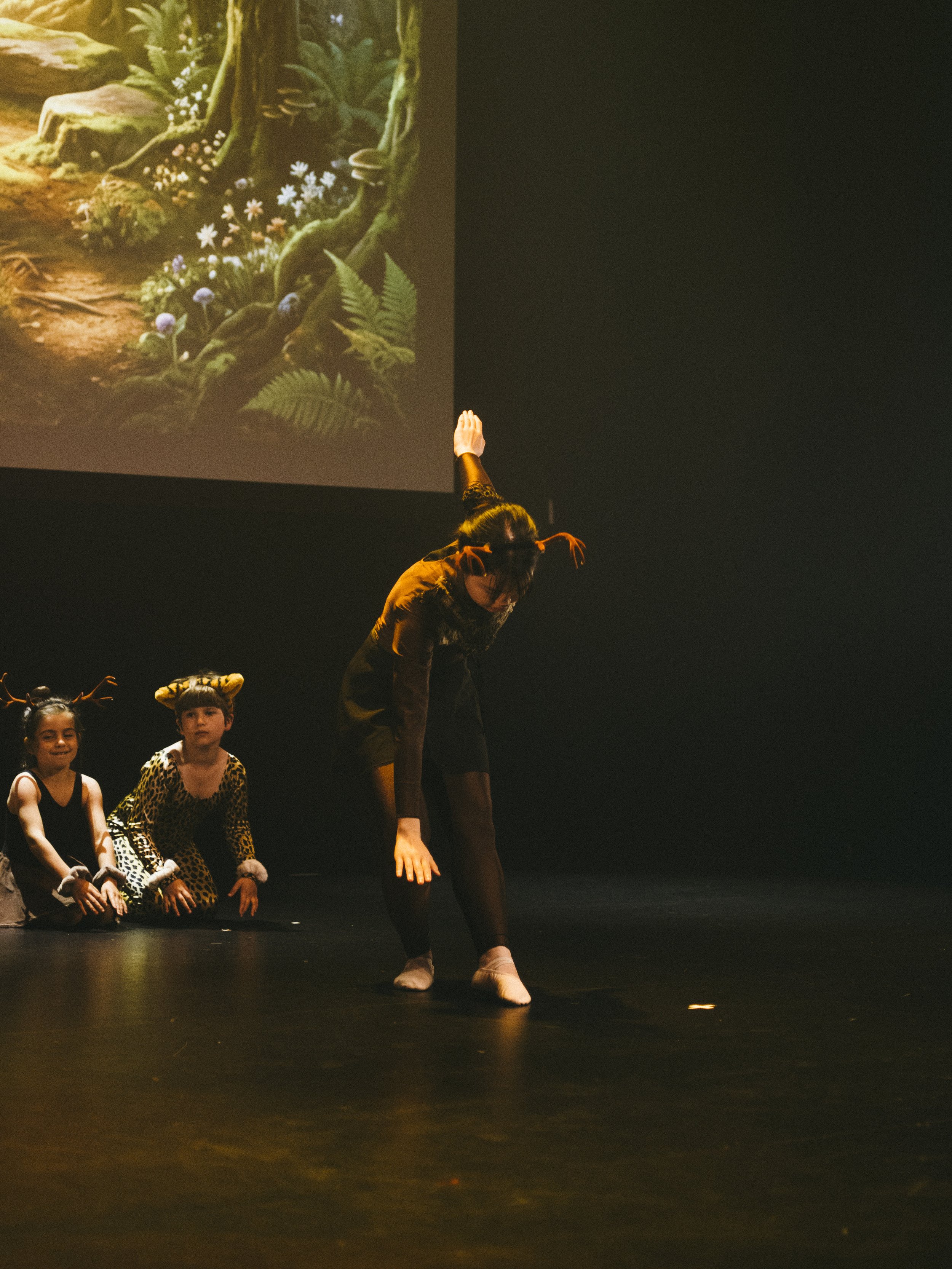 danse-westmount-2026-9066.jpg