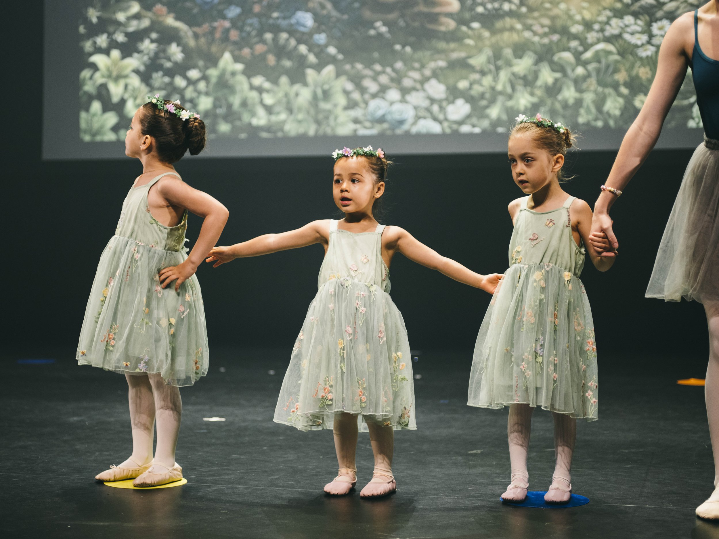 danse-westmount-2026-9291.jpg
