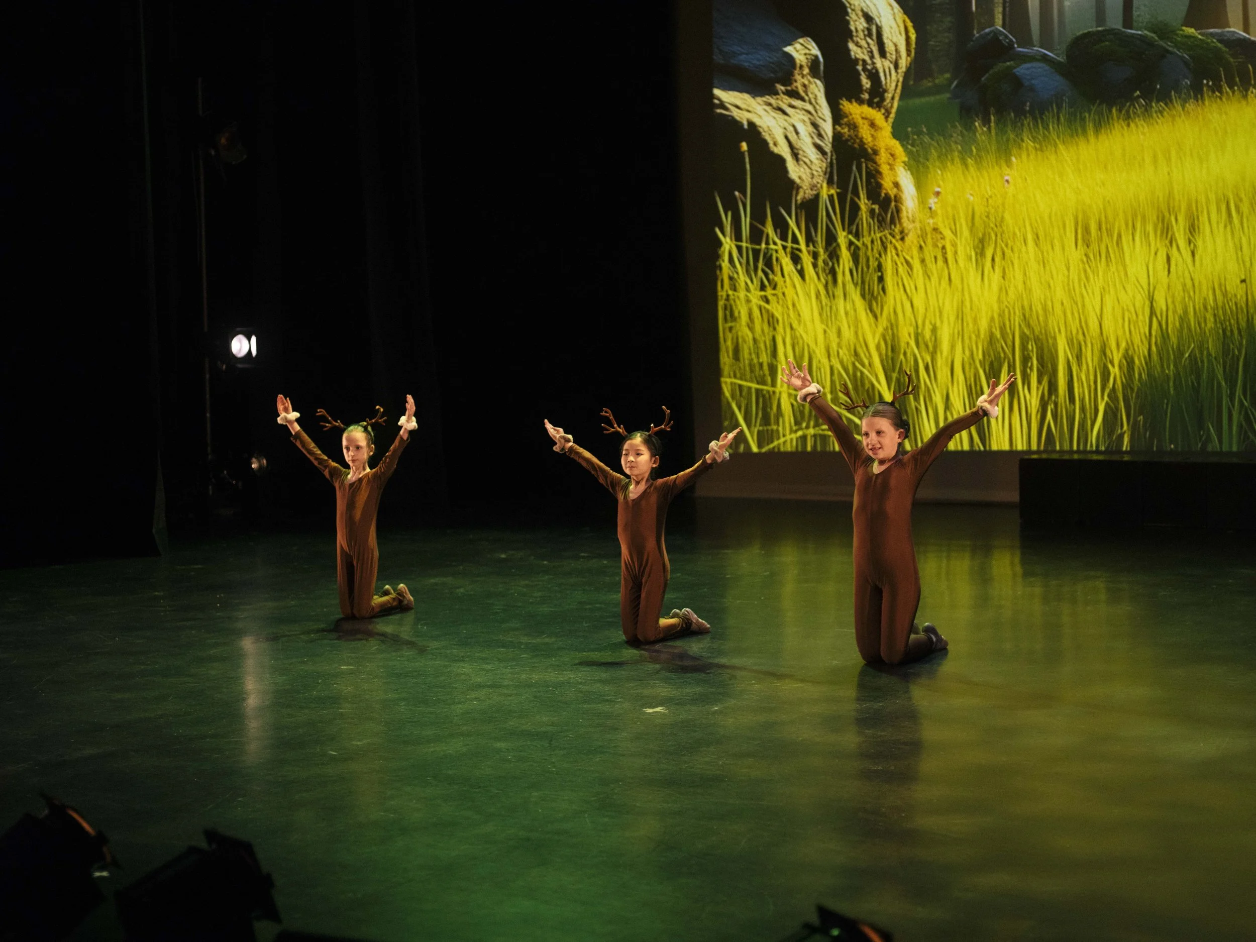danse-westmount-2025-5348-128.jpg