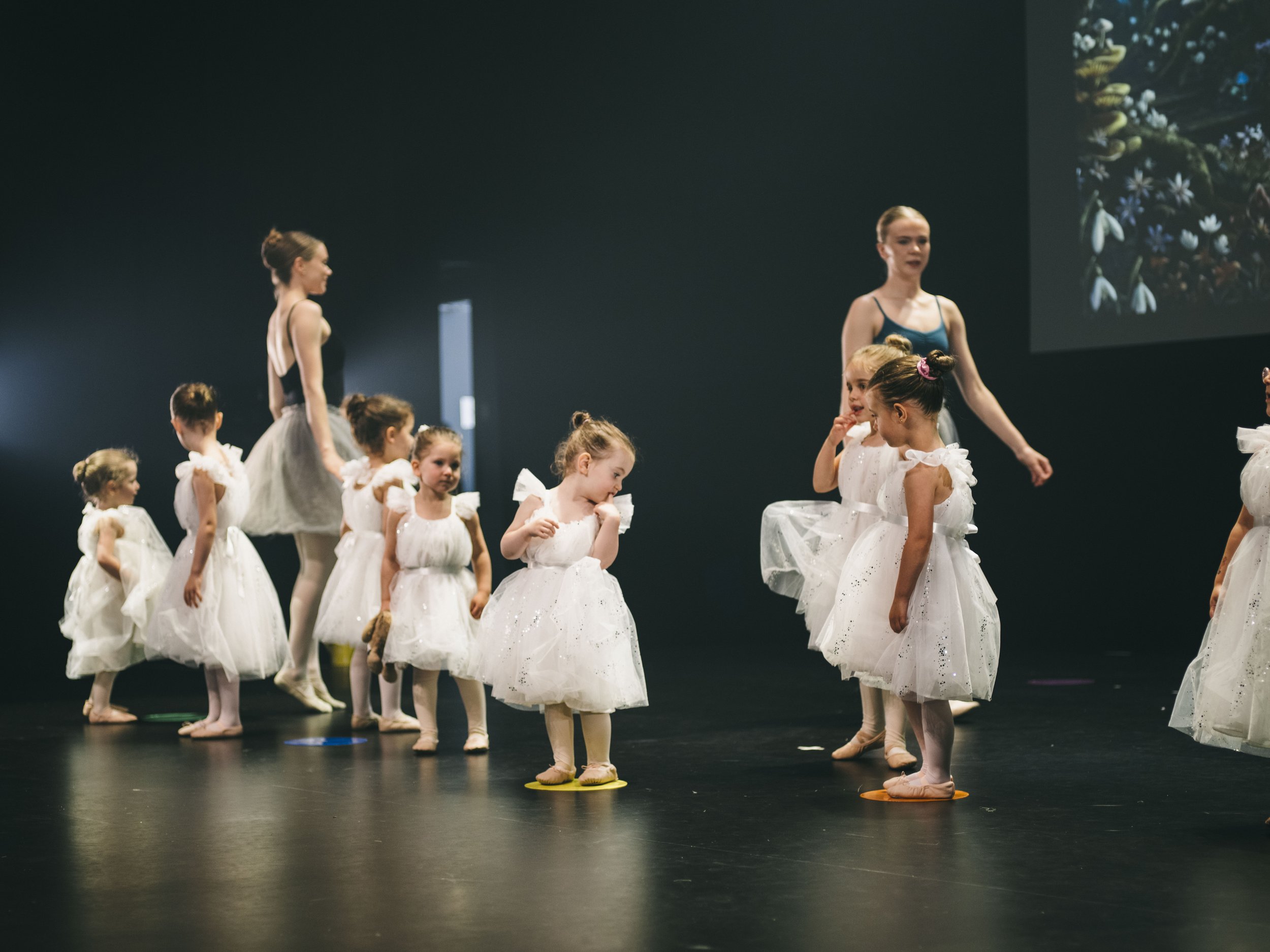 danse-westmount-2026-9309.jpg