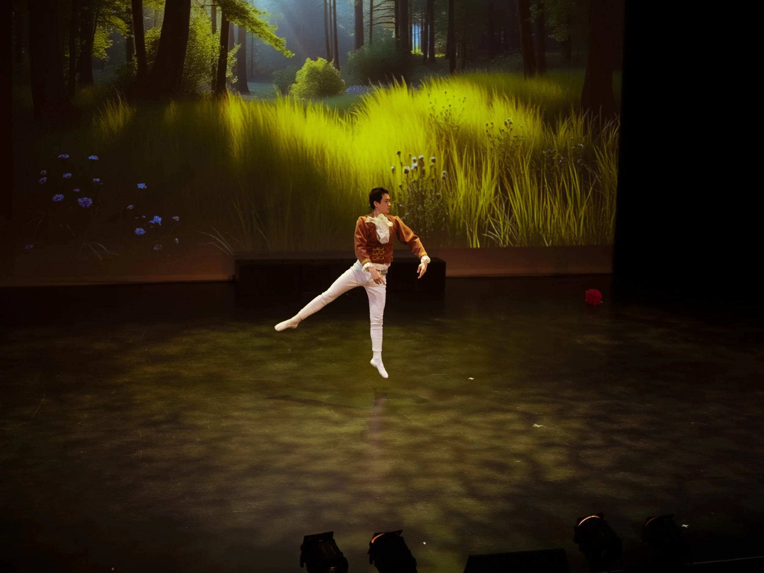 danse-westmount-2025-5085-69.jpg
