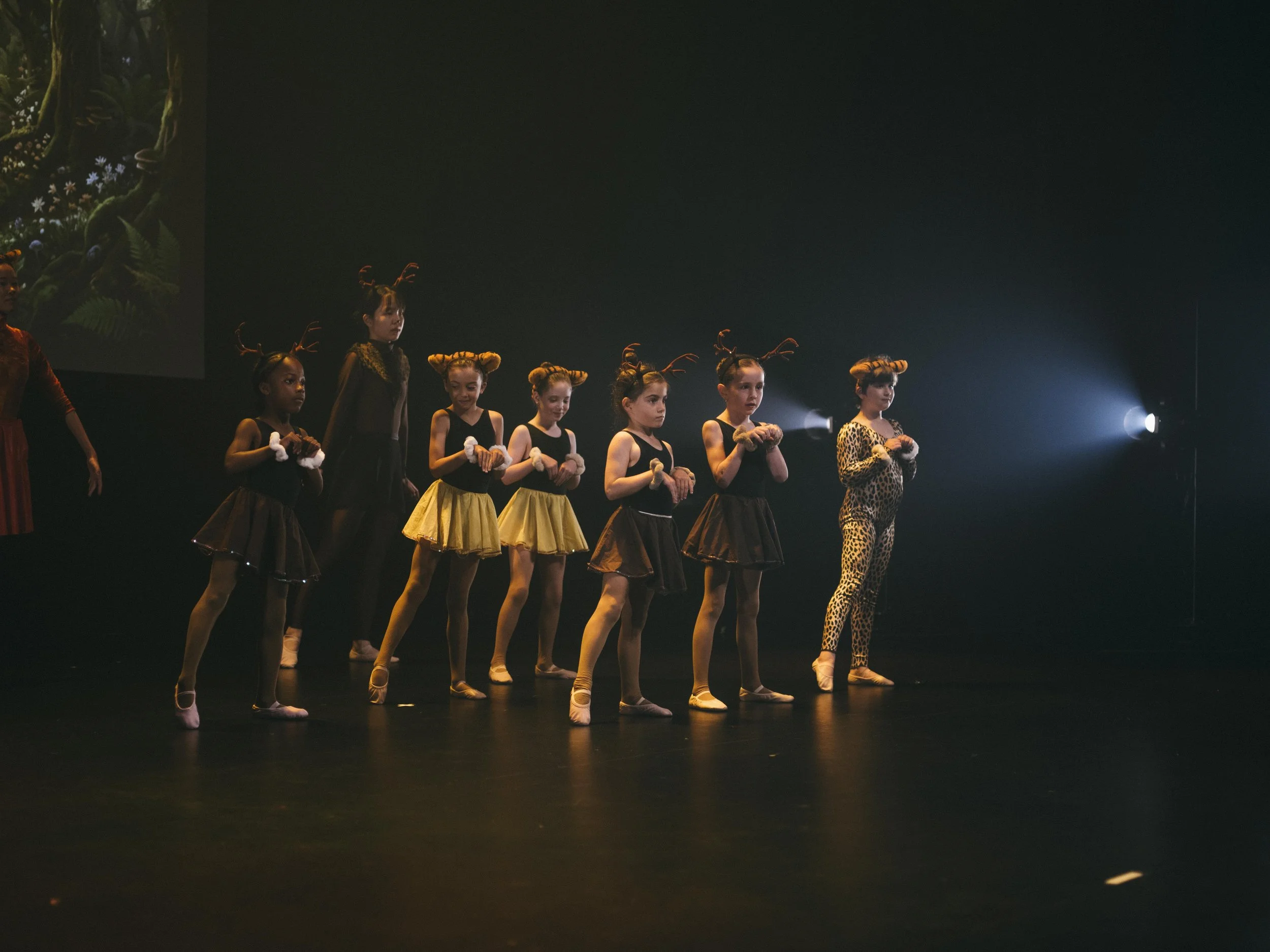 danse-westmount-2026-9061.jpg