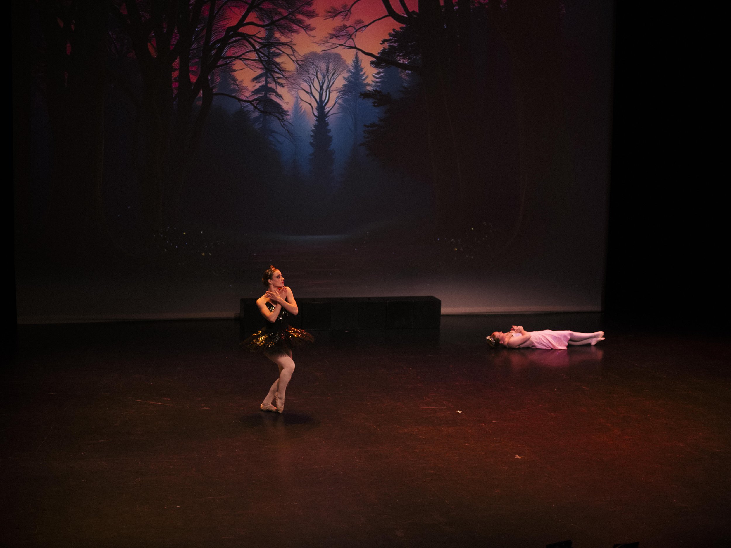 danse-westmount-2025-5156-83.jpg