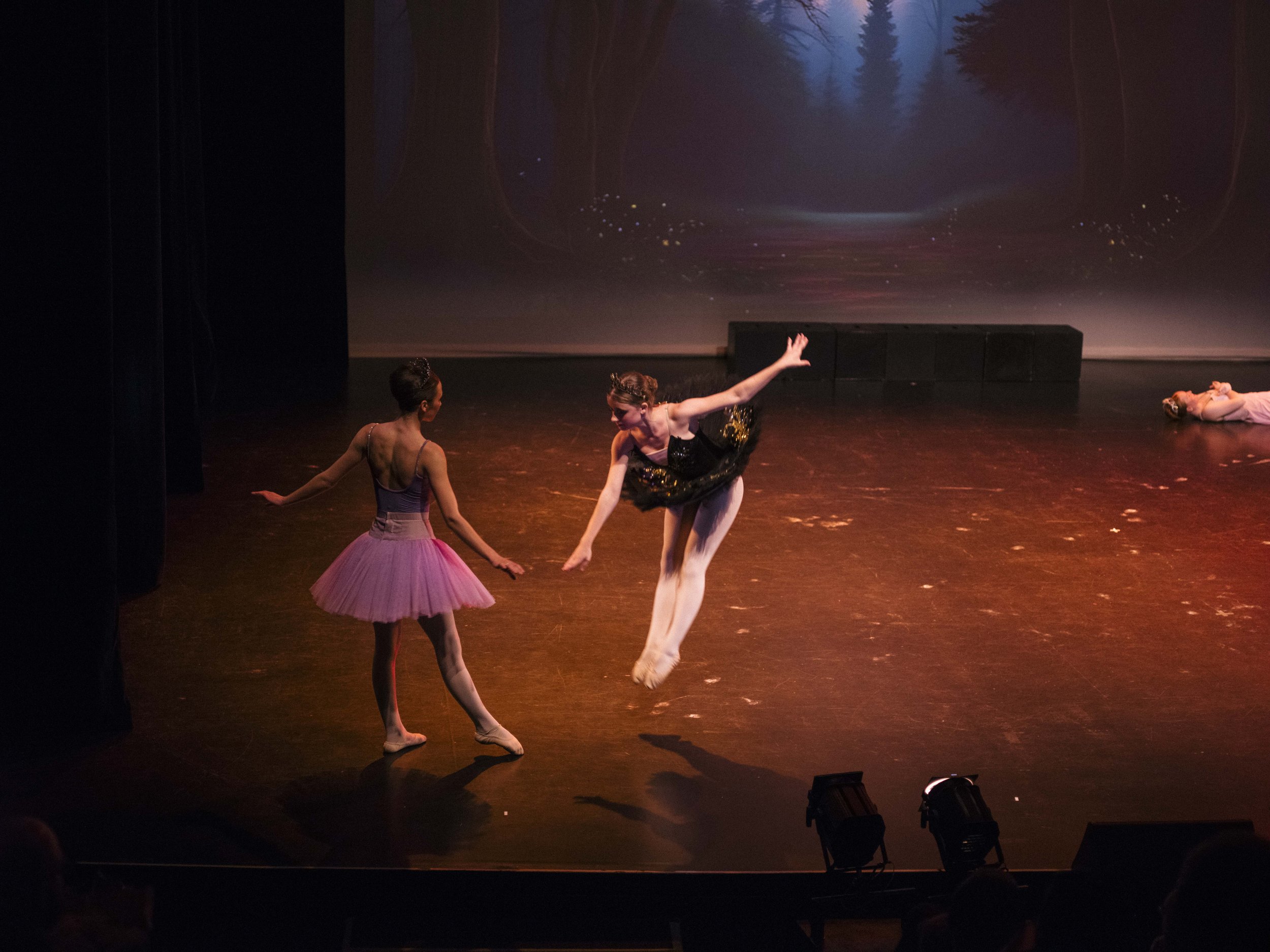danse-westmount-2025-5167-87.jpg