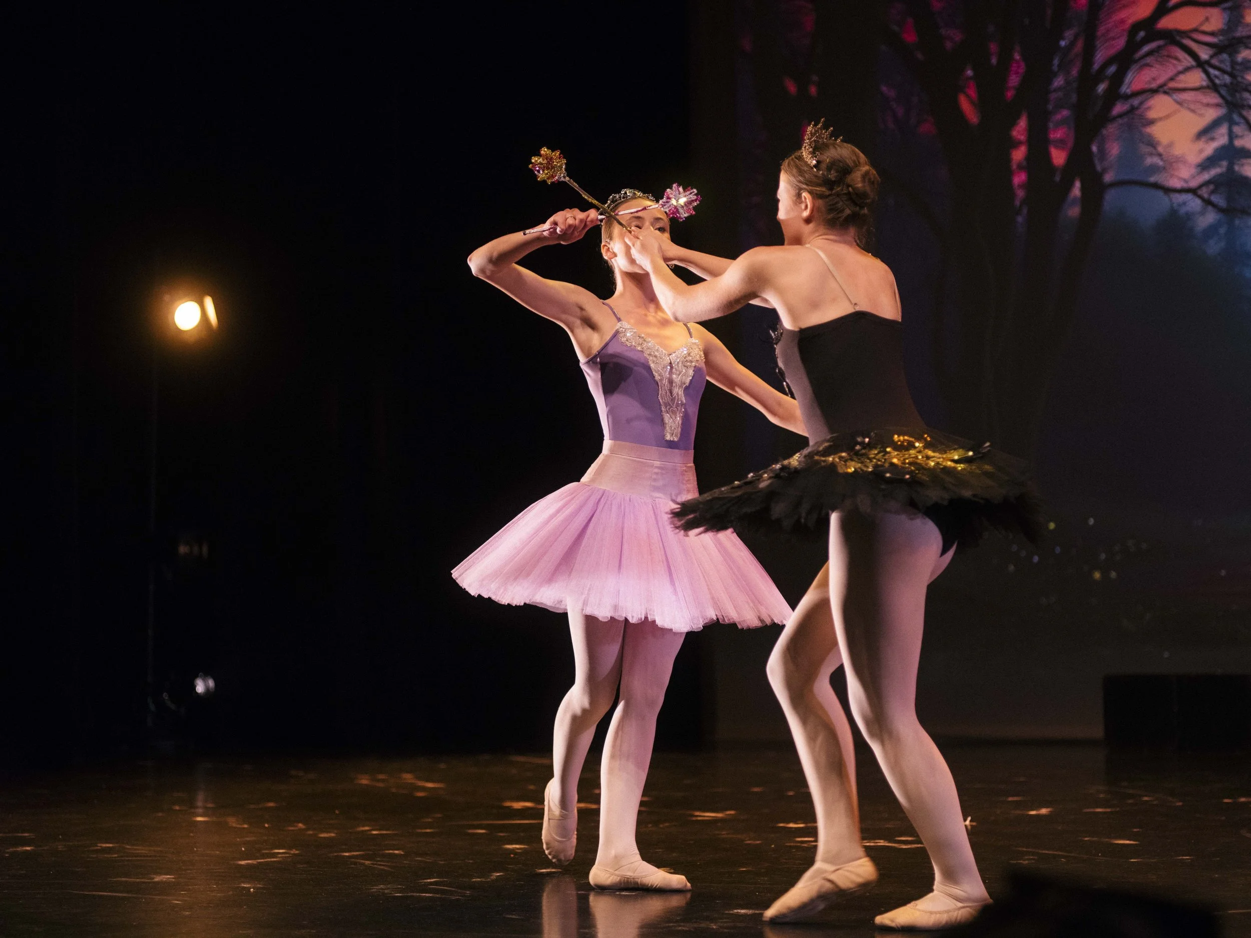 danse-westmount-2025-5529-185.jpg