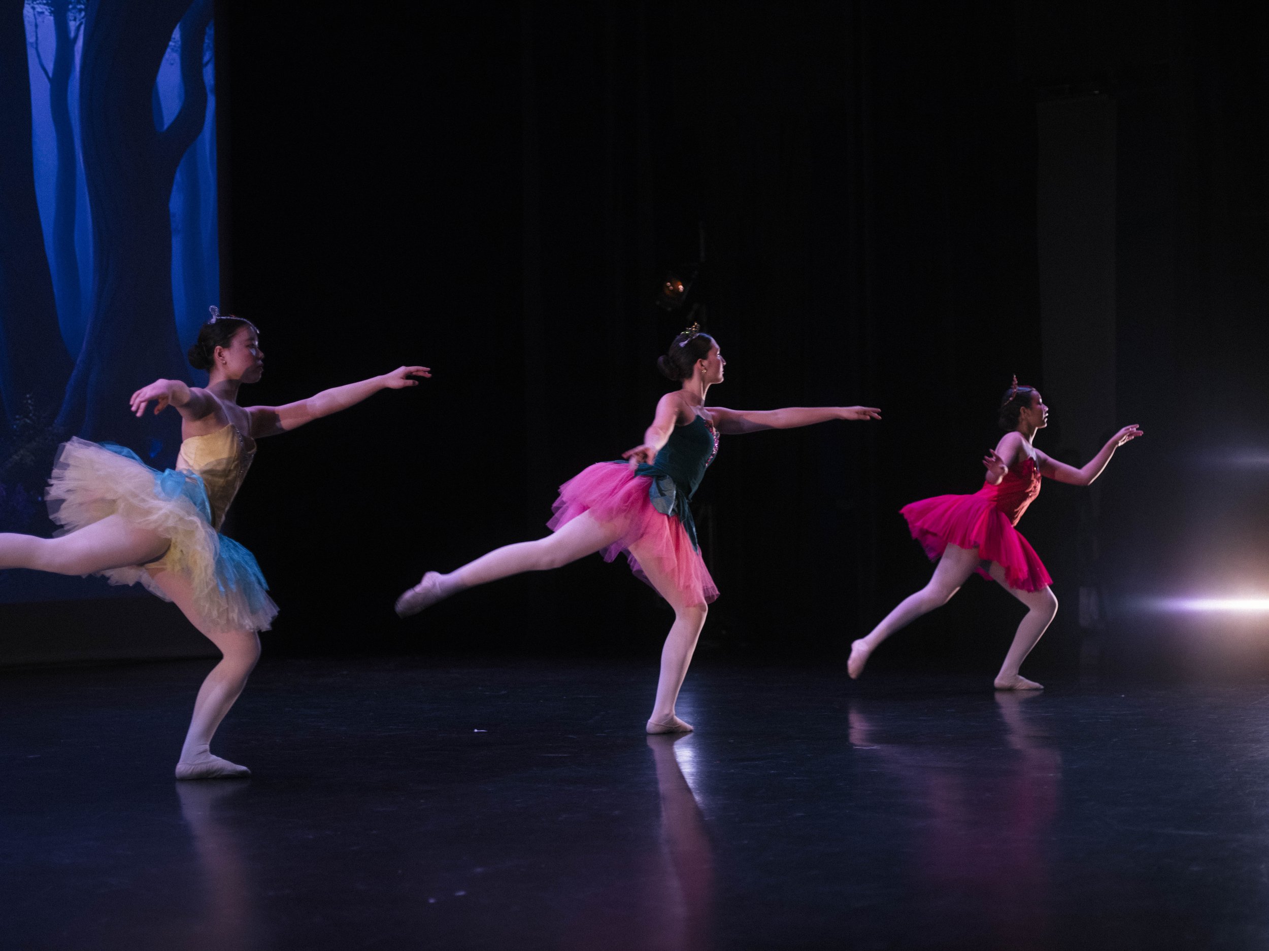 danse-westmount-2025-5151-81.jpg