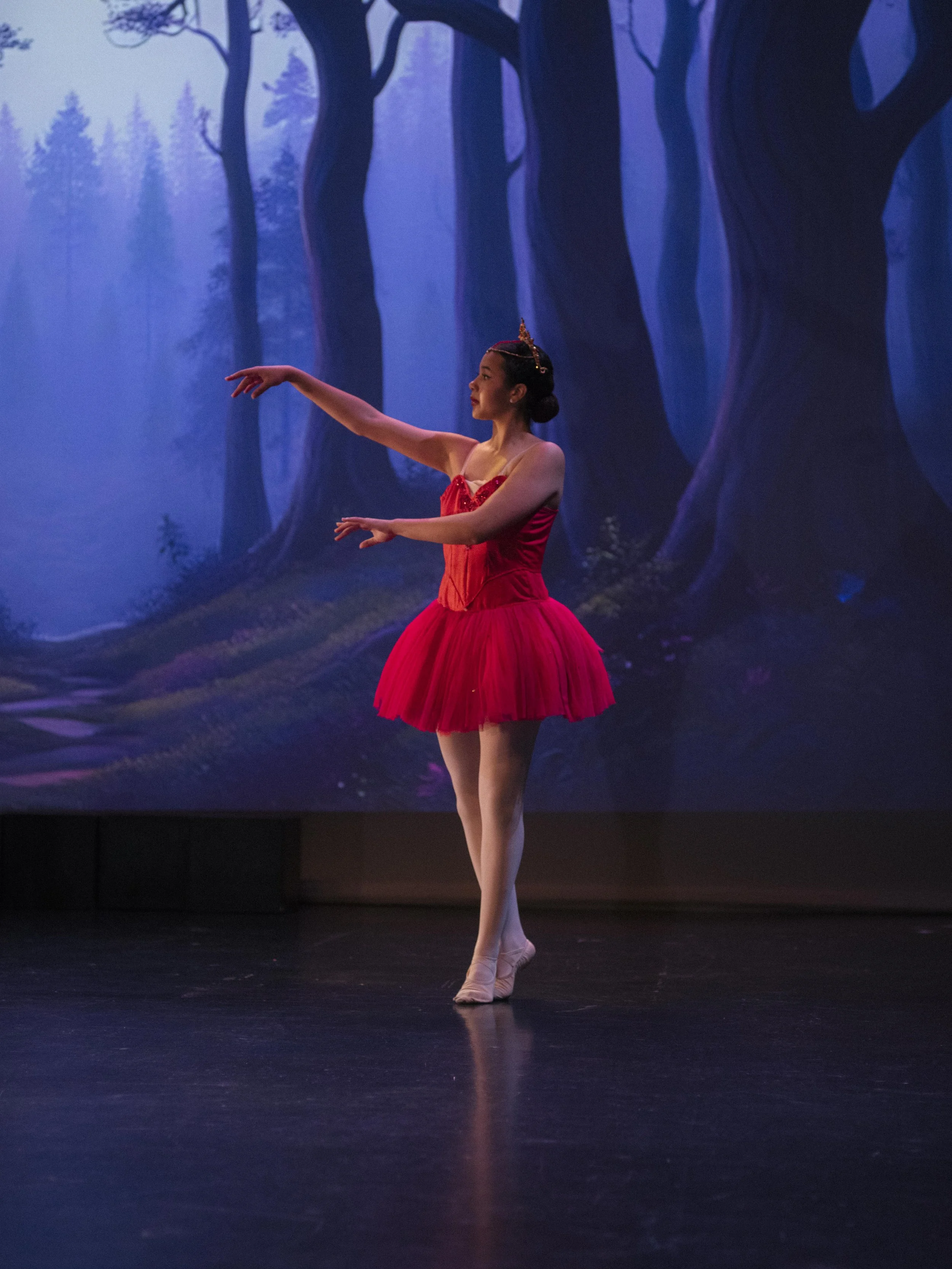 danse-westmount-2025-5498-173.jpg