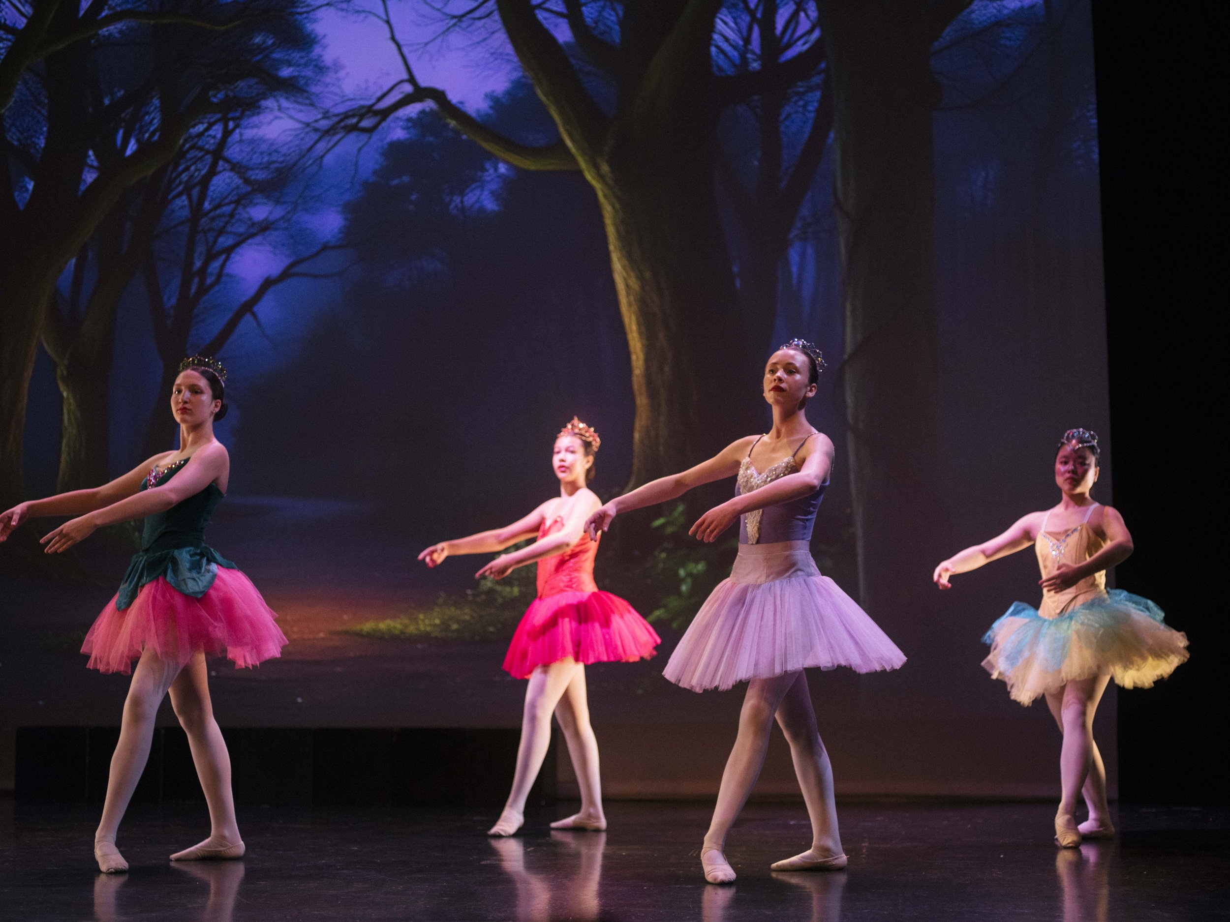 danse-westmount-2025-5487-167.jpg