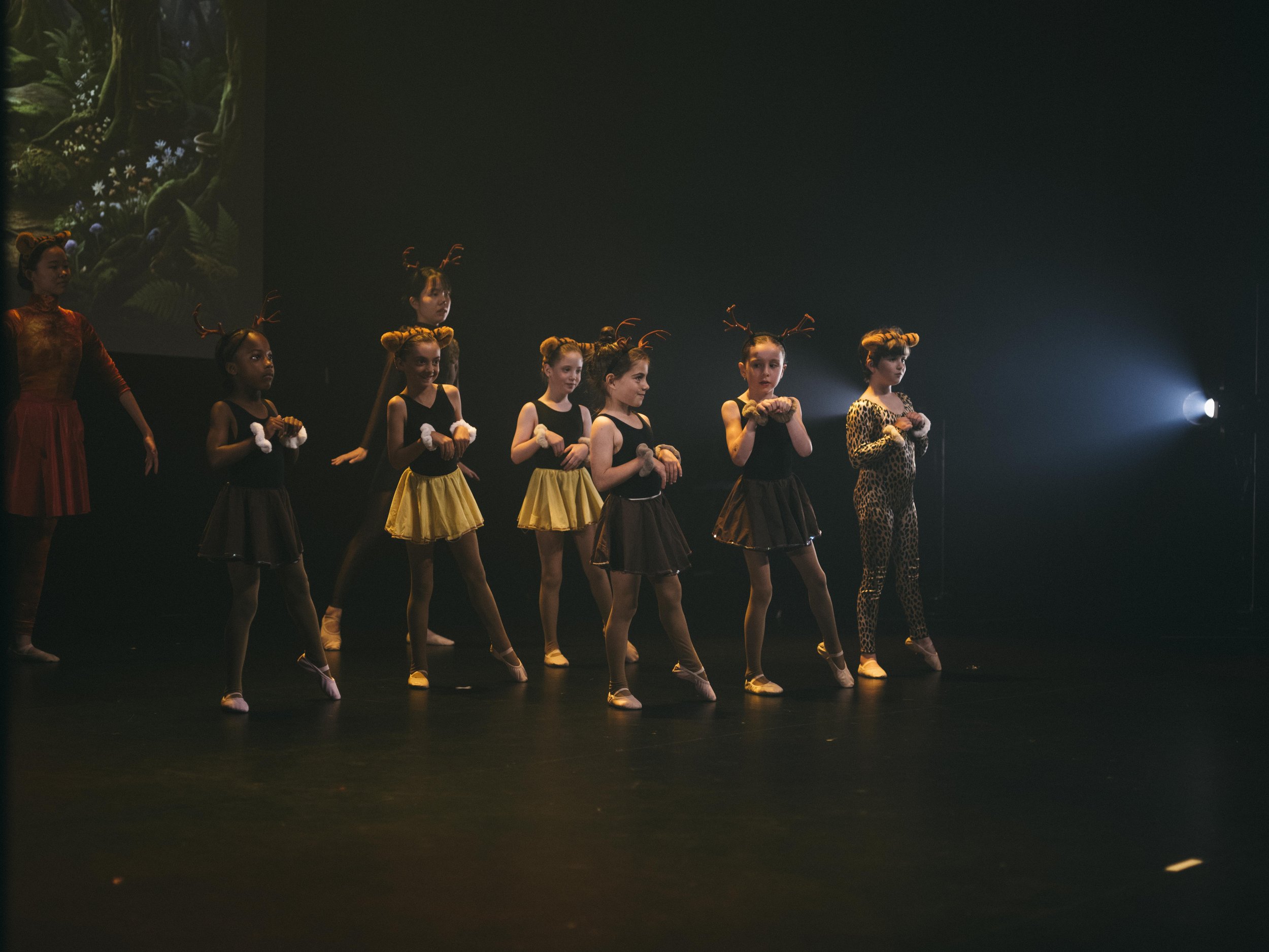 danse-westmount-2026-9062.jpg