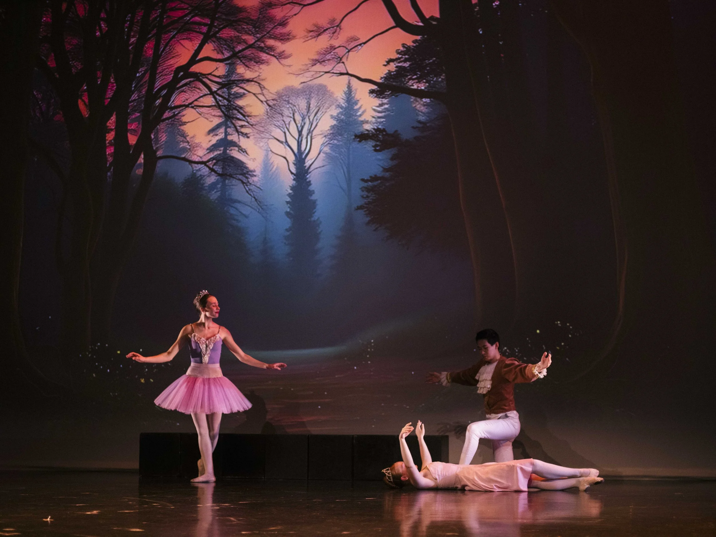 danse-westmount-2025-5531-186.jpg