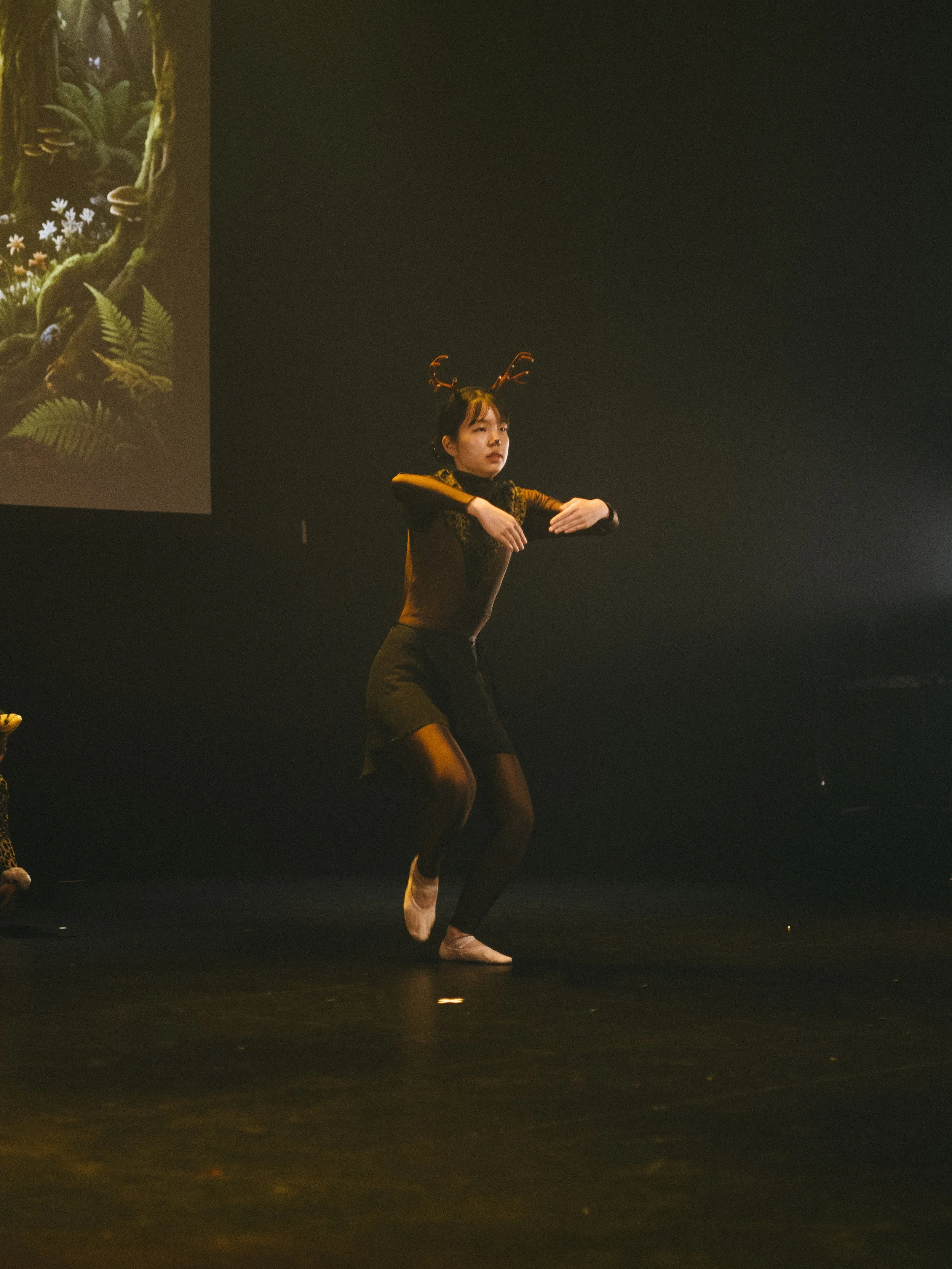 danse-westmount-2026-9065.jpg