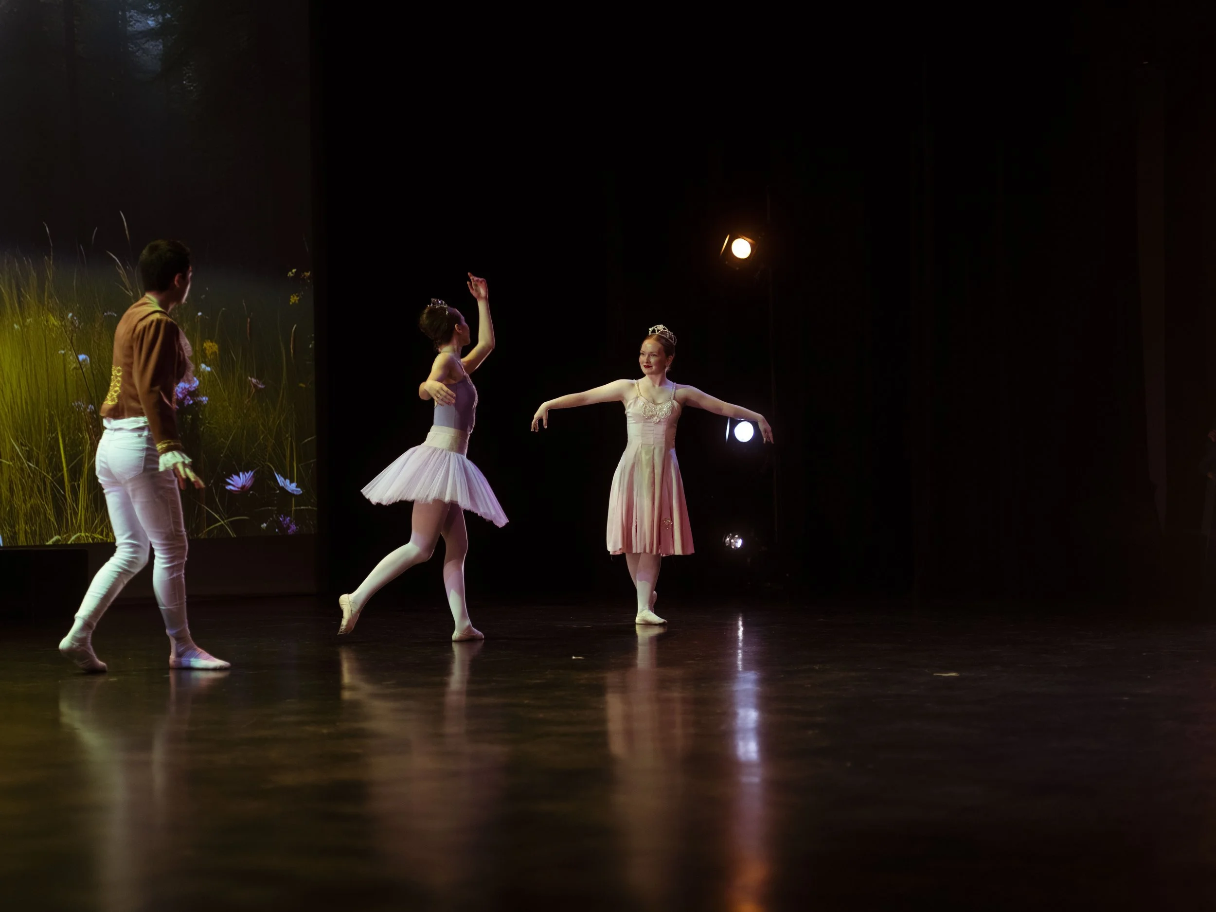 danse-westmount-2025-5115-76.jpg