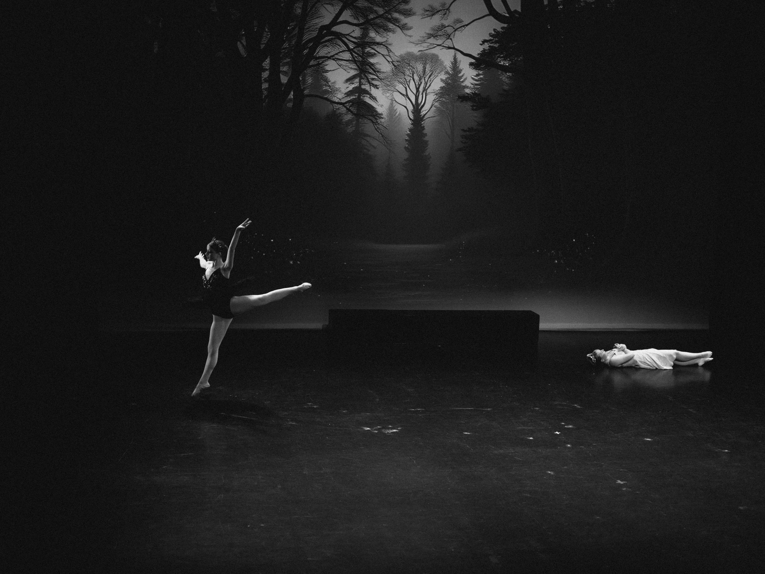danse-westmount-2025-5160-84.jpg