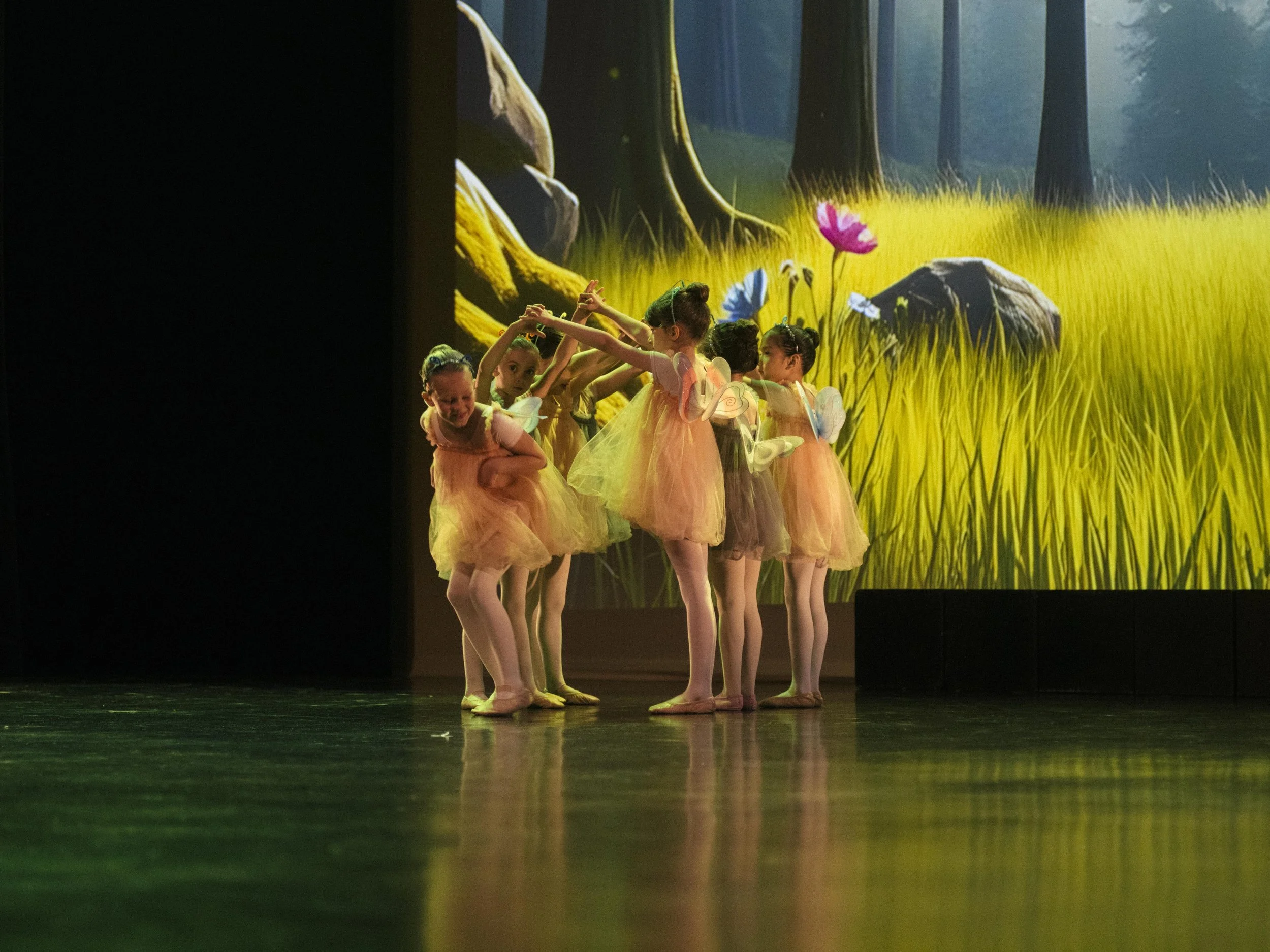 danse-westmount-2025-5337-125.jpg