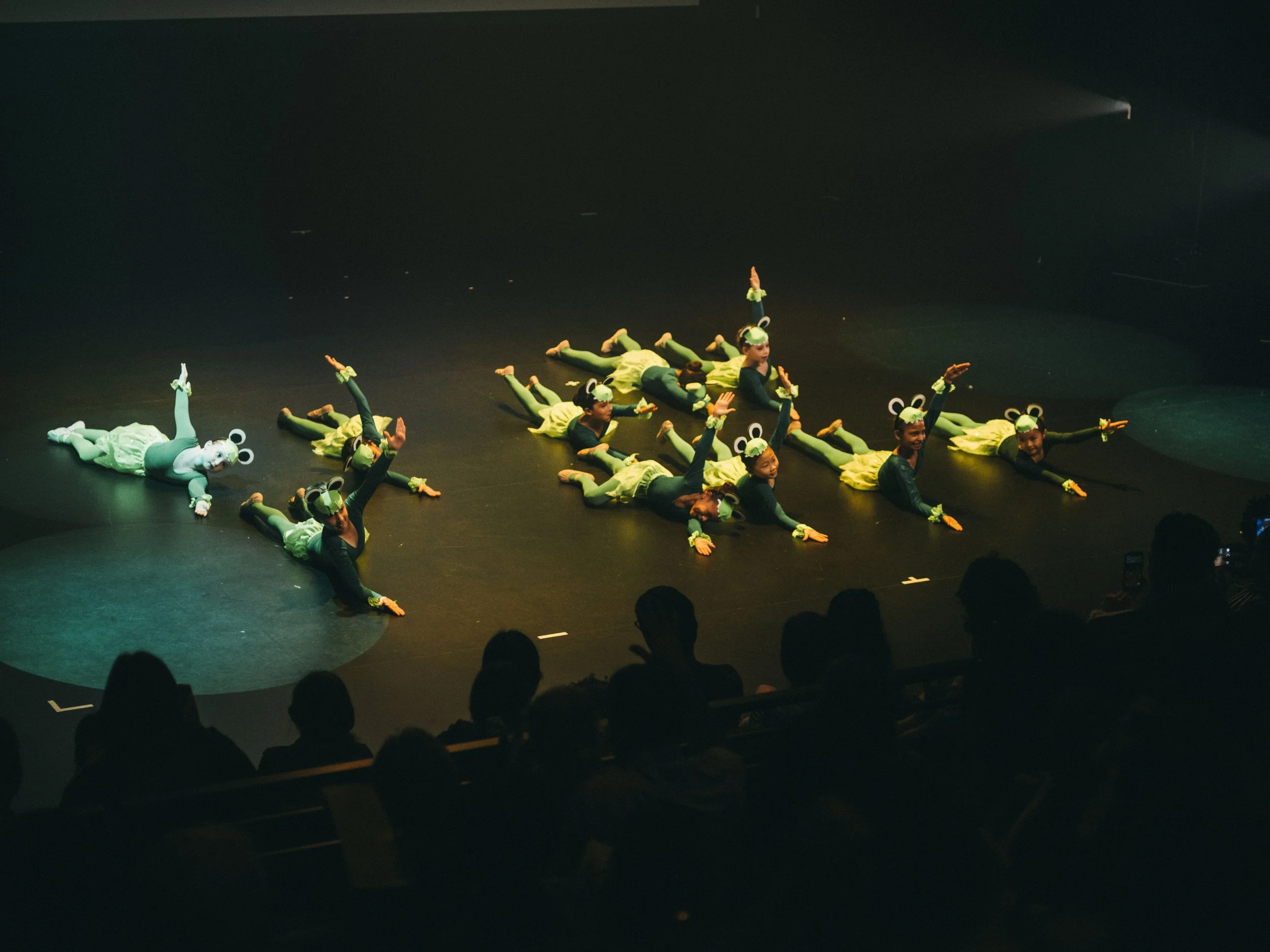 danse-westmount-2026-9053.jpg