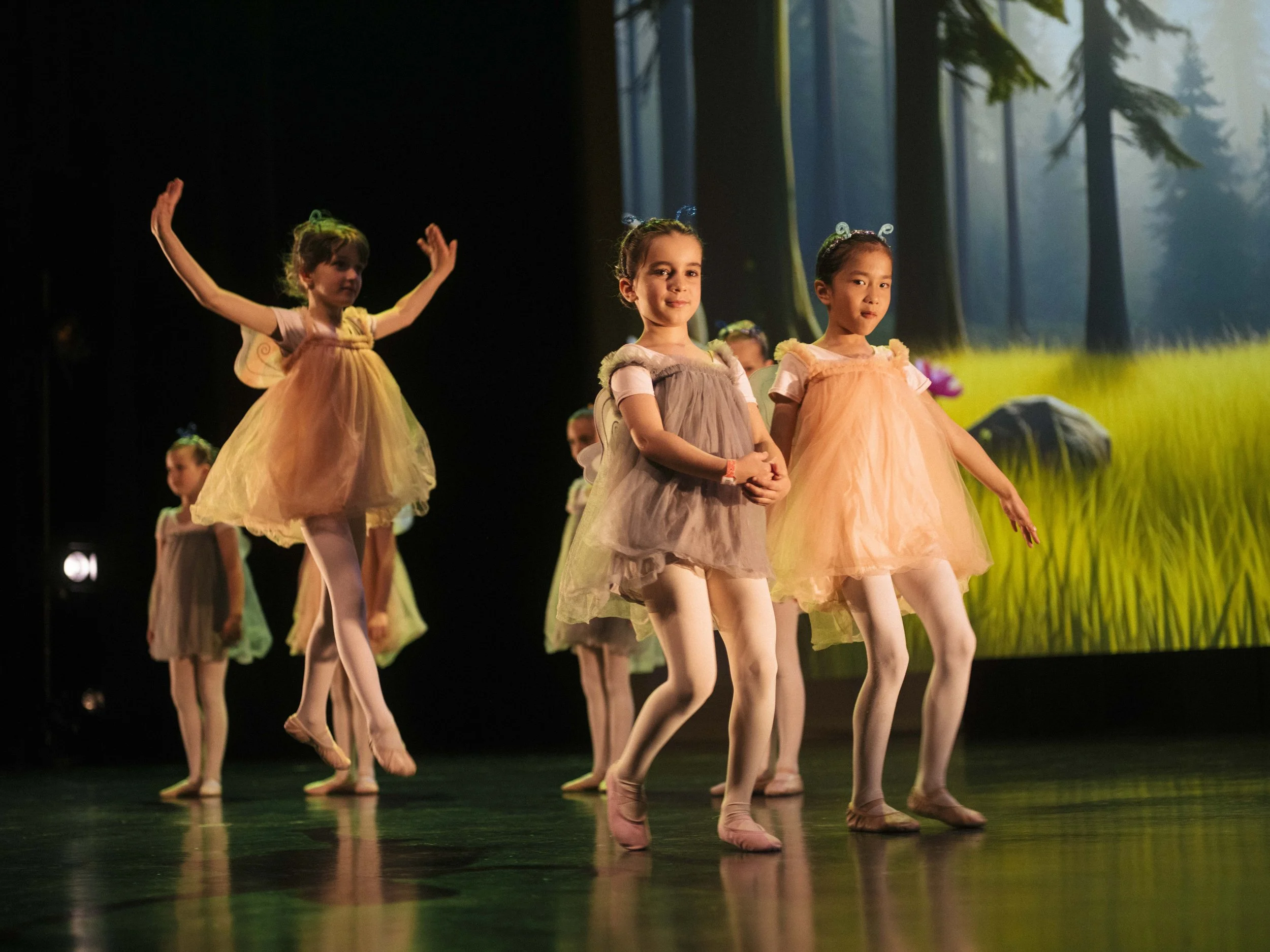 danse-westmount-2025-5333-124.jpg