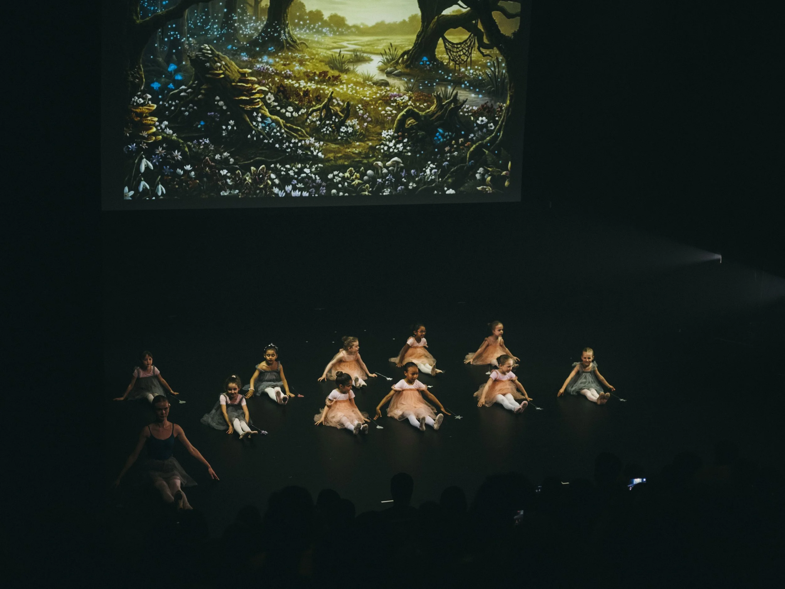 danse-westmount-2026-9045.jpg