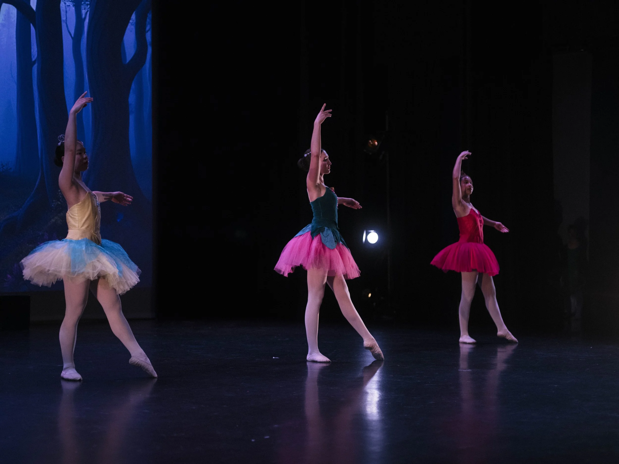 danse-westmount-2025-5152-82.jpg