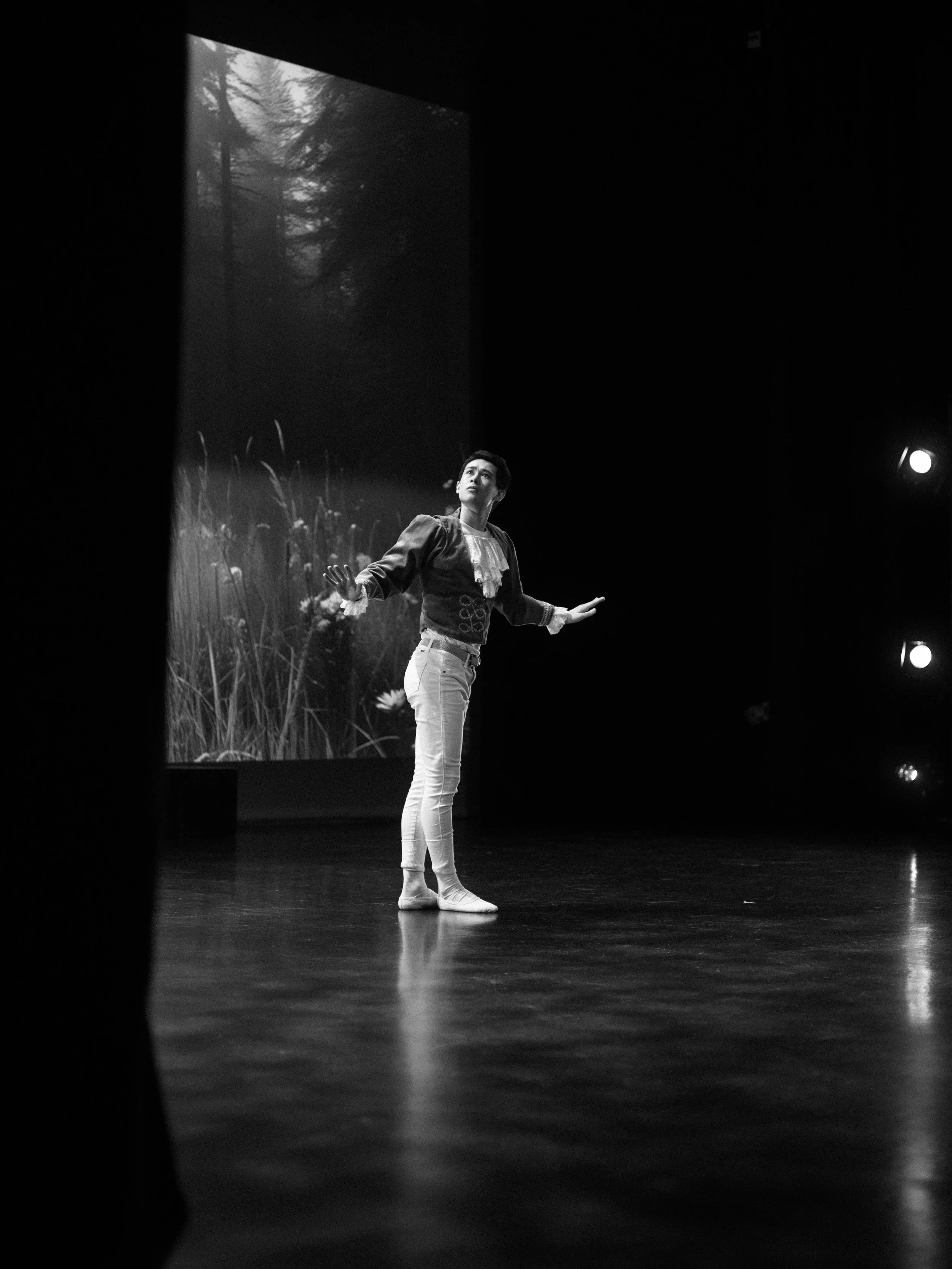 danse-westmount-2025-5109-73.jpg
