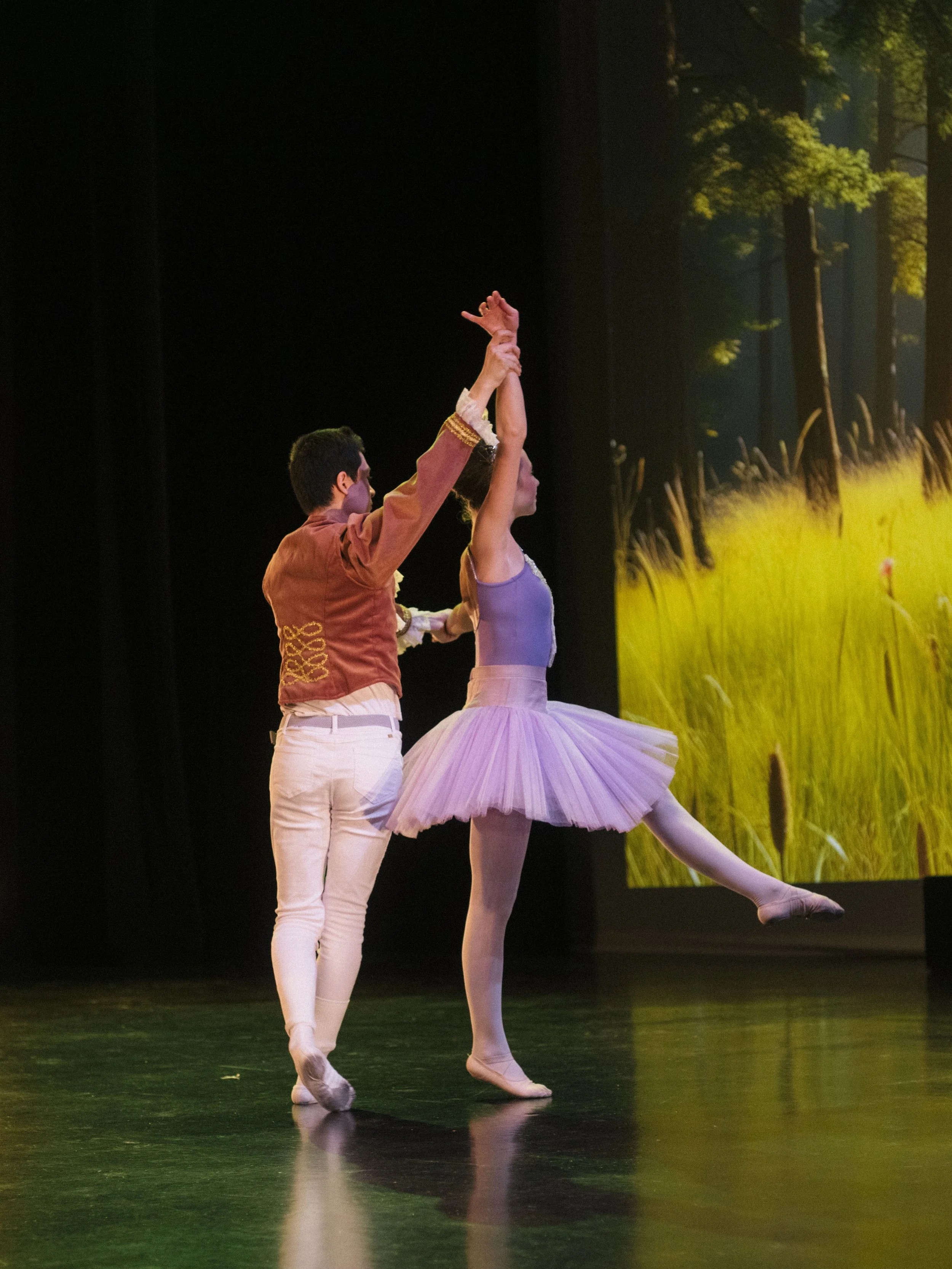 danse-westmount-2025-5437-149.jpg