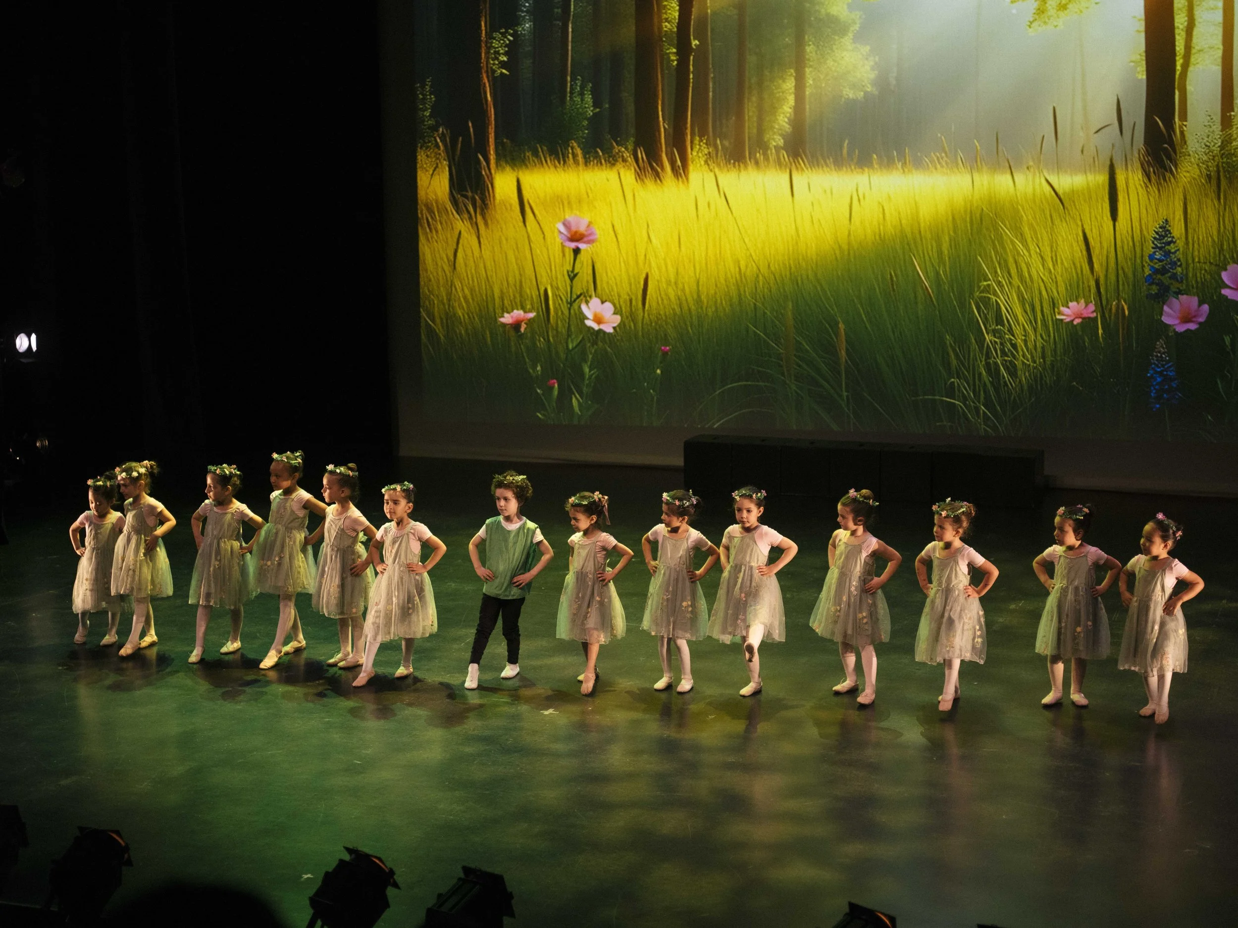 danse-westmount-2025-5299-116.jpg