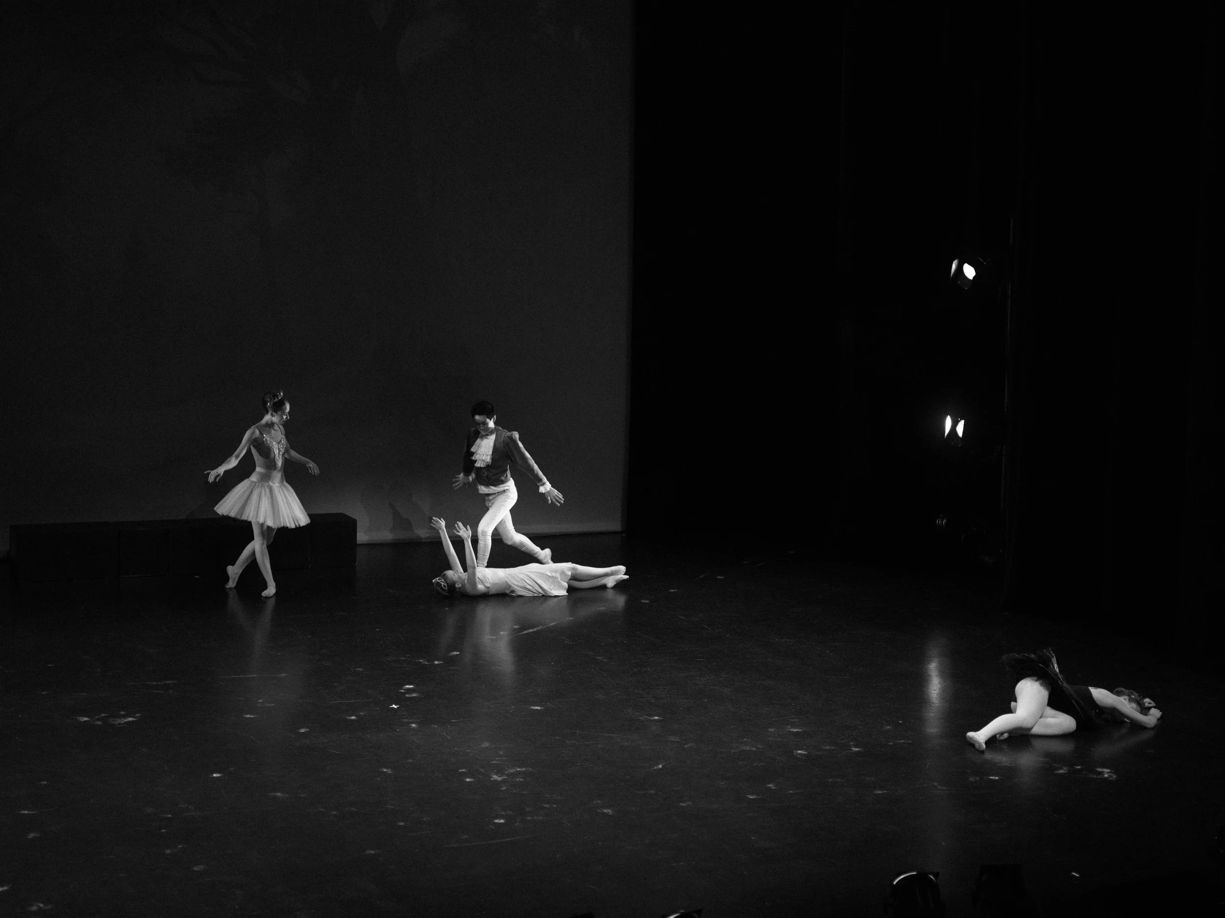 danse-westmount-2025-5170-88.jpg