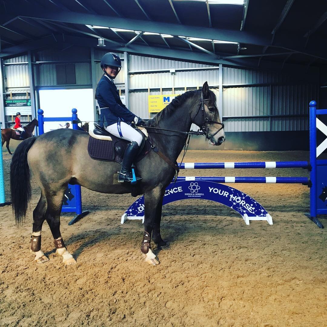 Congratulations to local rider @persiabhatiaeventing and her two rides Molly XIII and Major Moonstone (pictured) who finished 1st and 2nd in the @britshowjumping  @dodsonhorrell 85cm National Amateur Championship qualifier 2nd round qualifying for fi