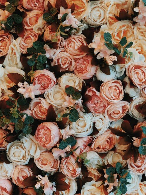 roses.jpeg