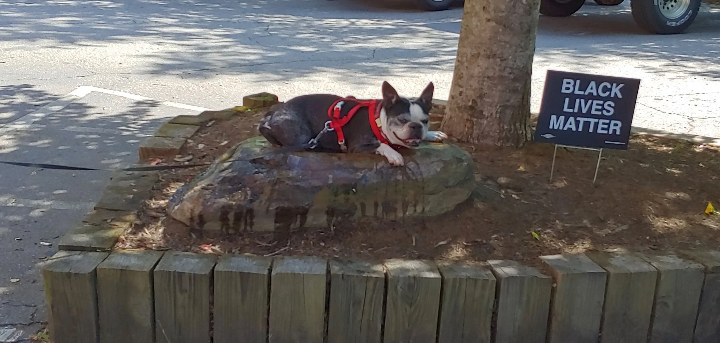 0703201040_HDR.jpg