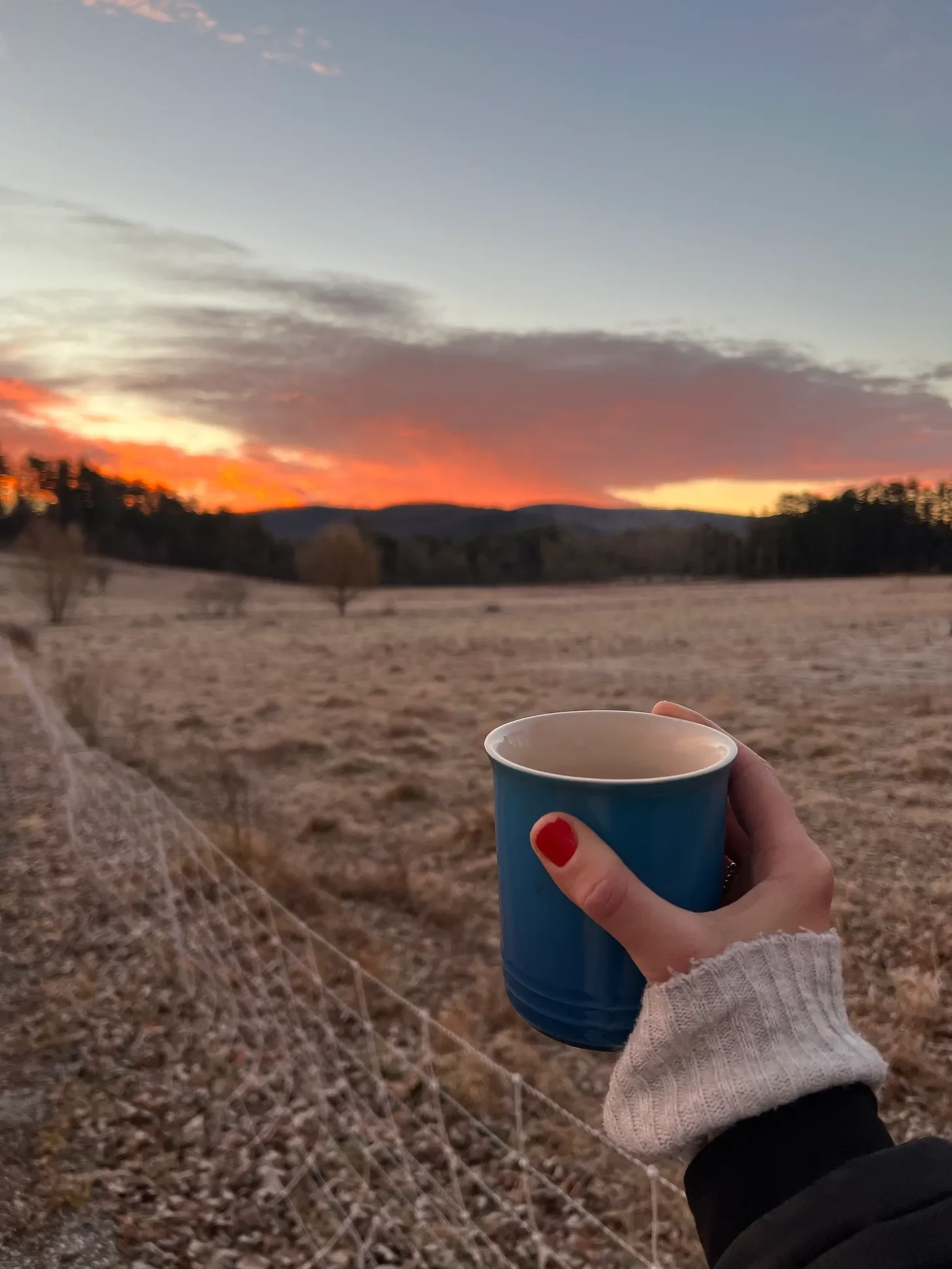 Radical acts for anyone who wants to change the world