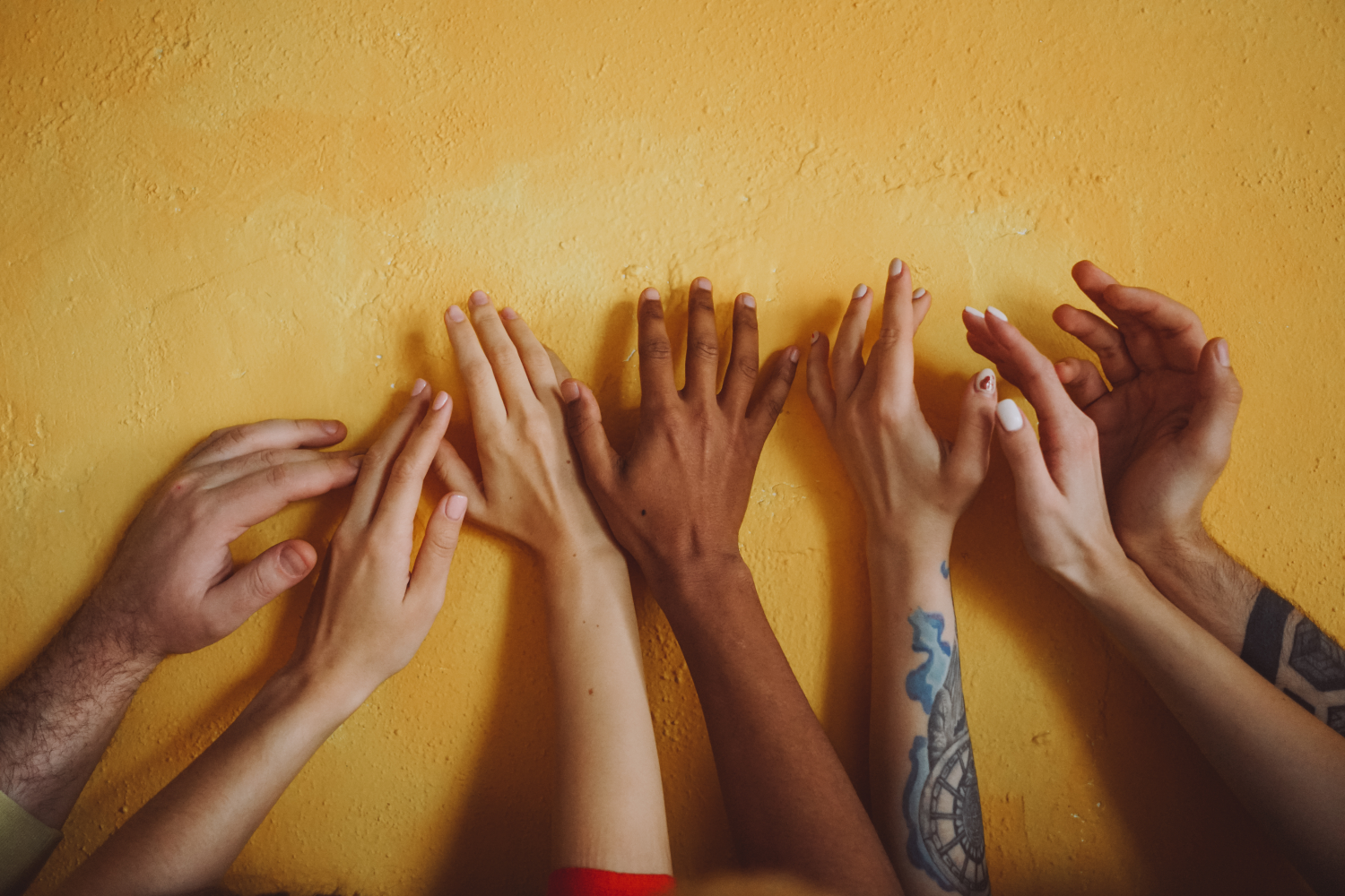 Diversity of Hands.png