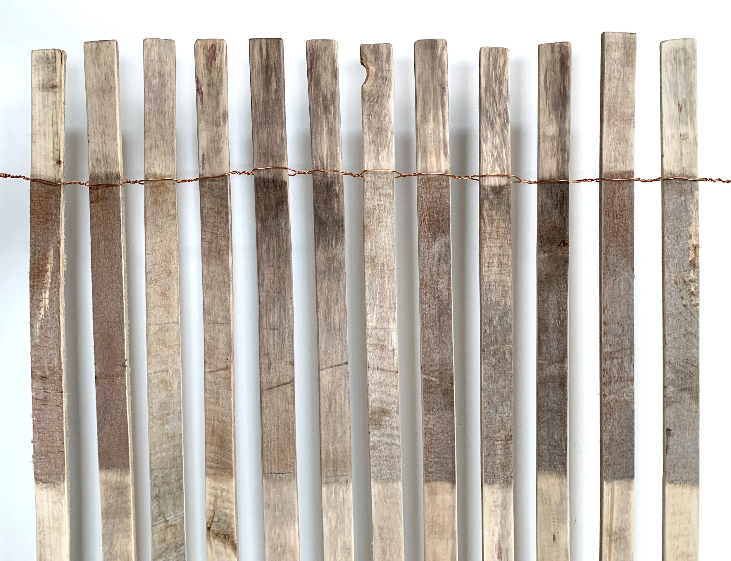 Key Image - nookiigaashi.JPG